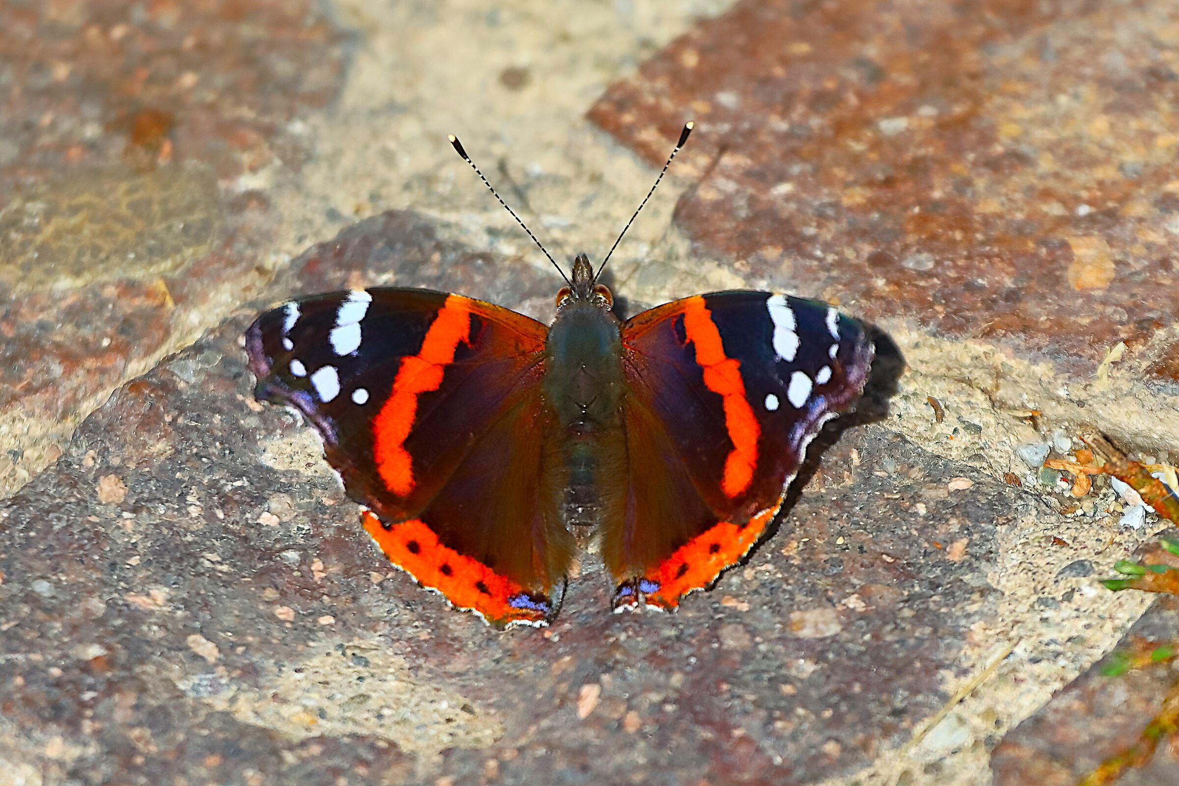Vulcano 05 ottobre 2024 - 0023