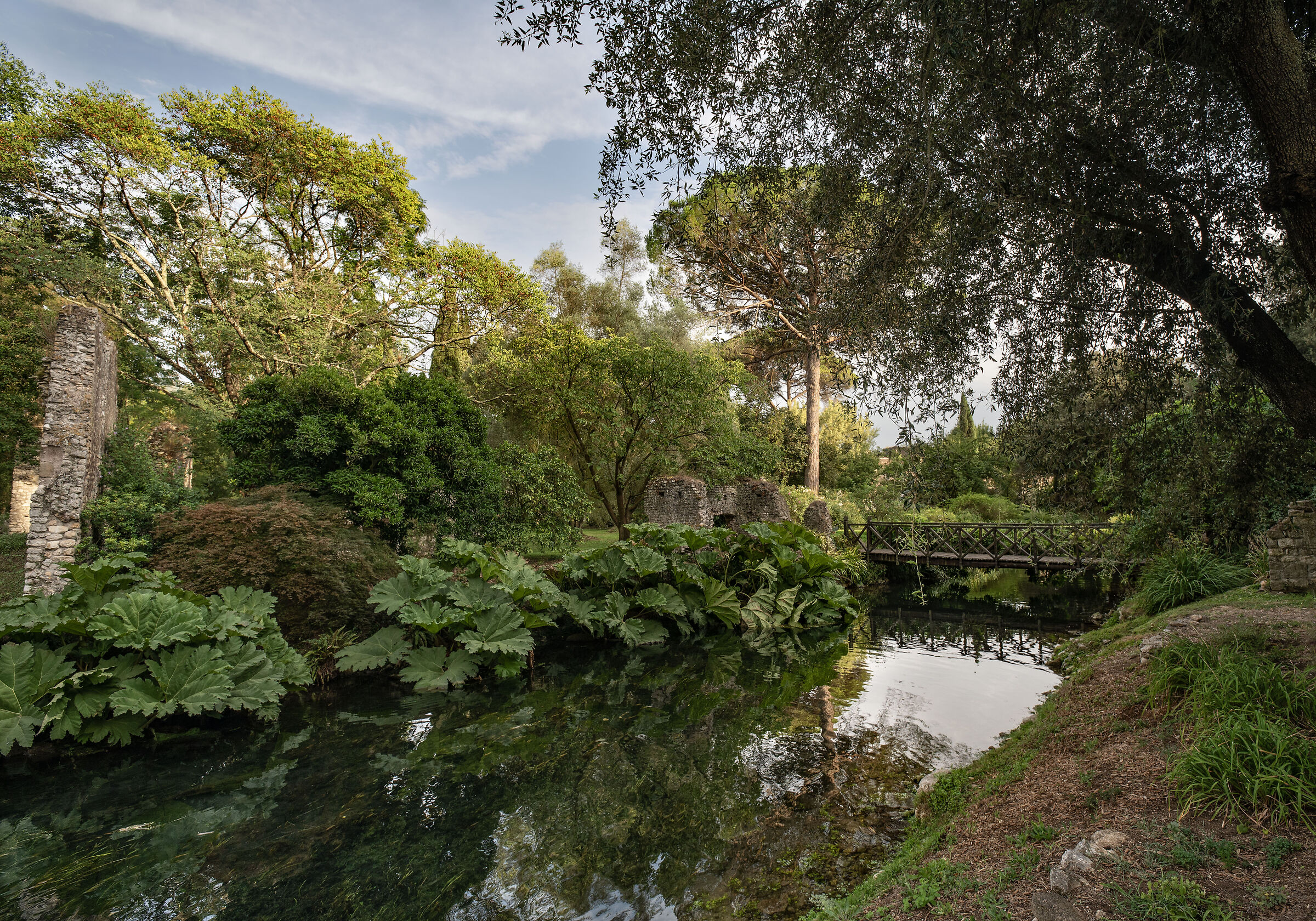 Ninfa 2