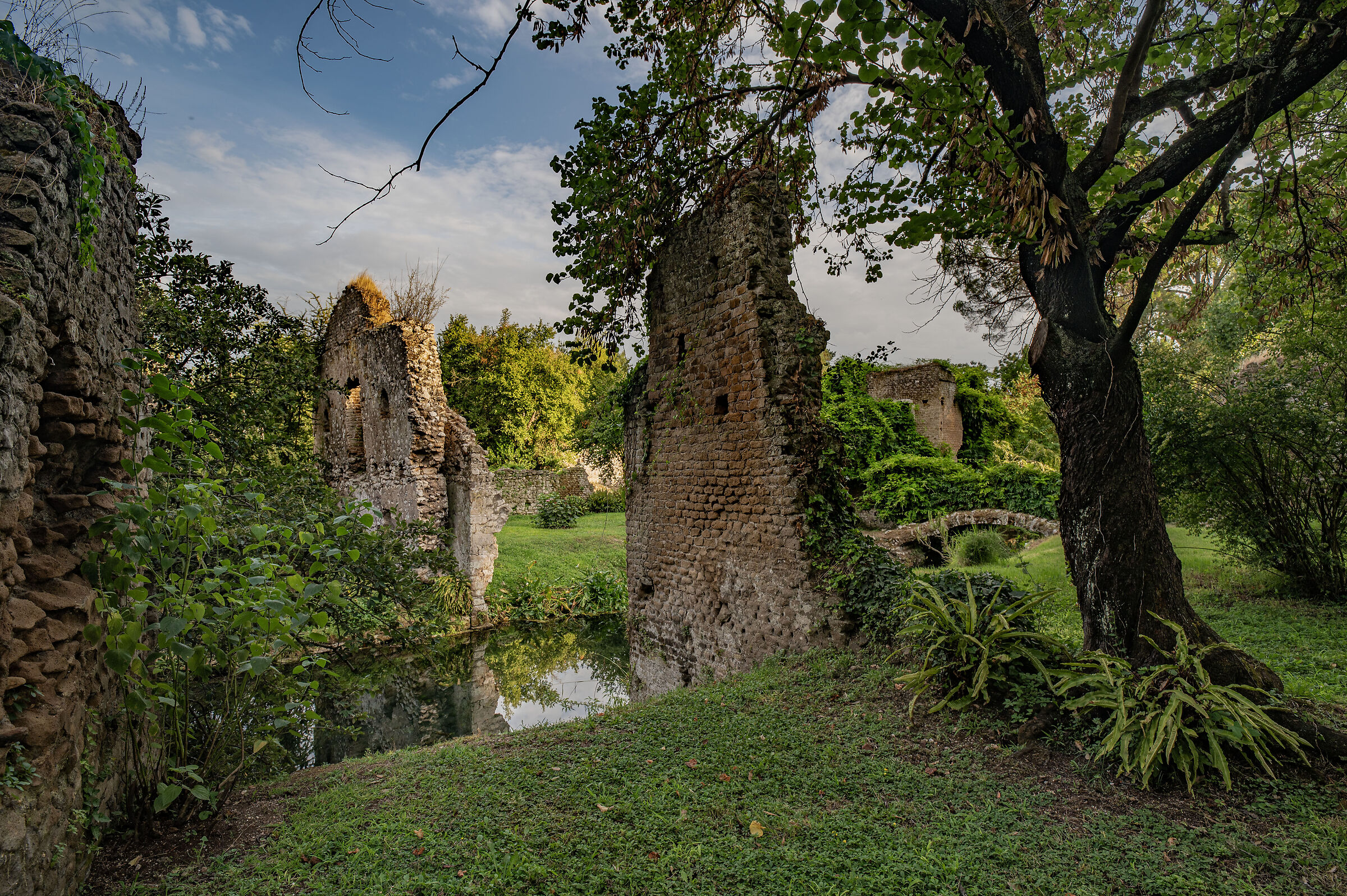 Ninfa 3