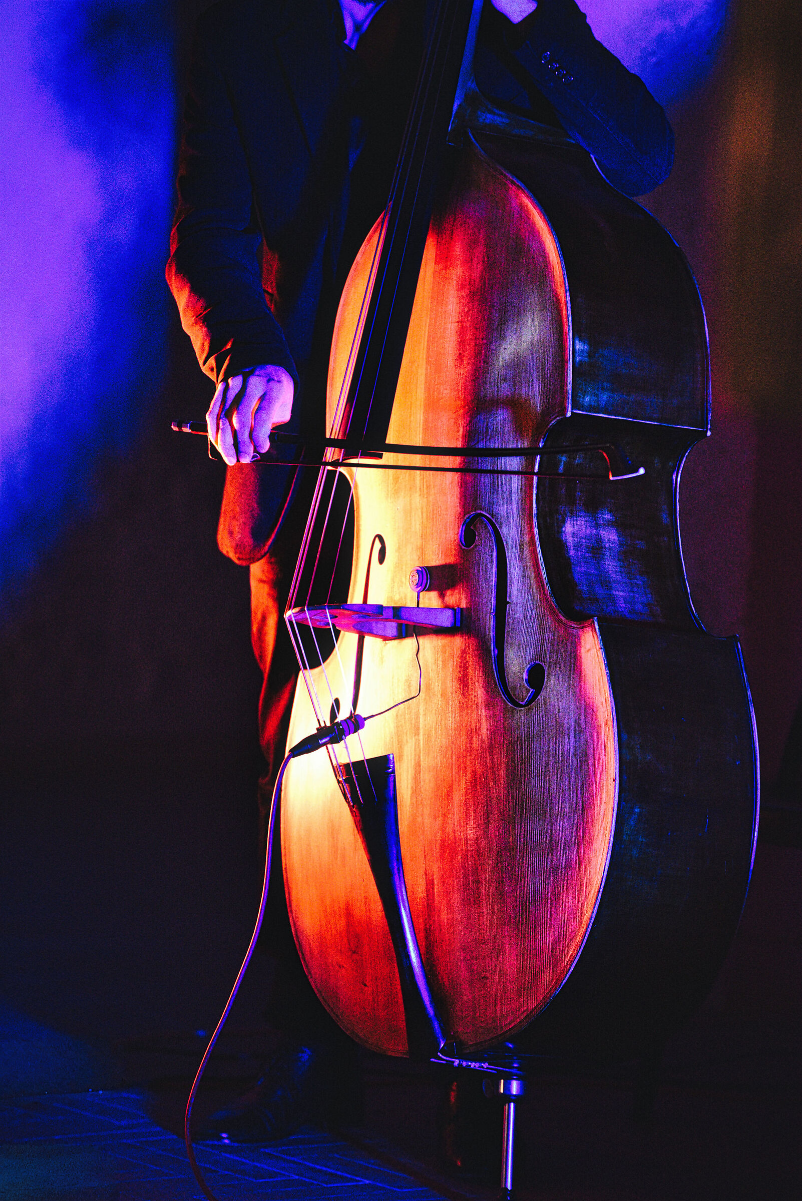 Archimusici Erranti