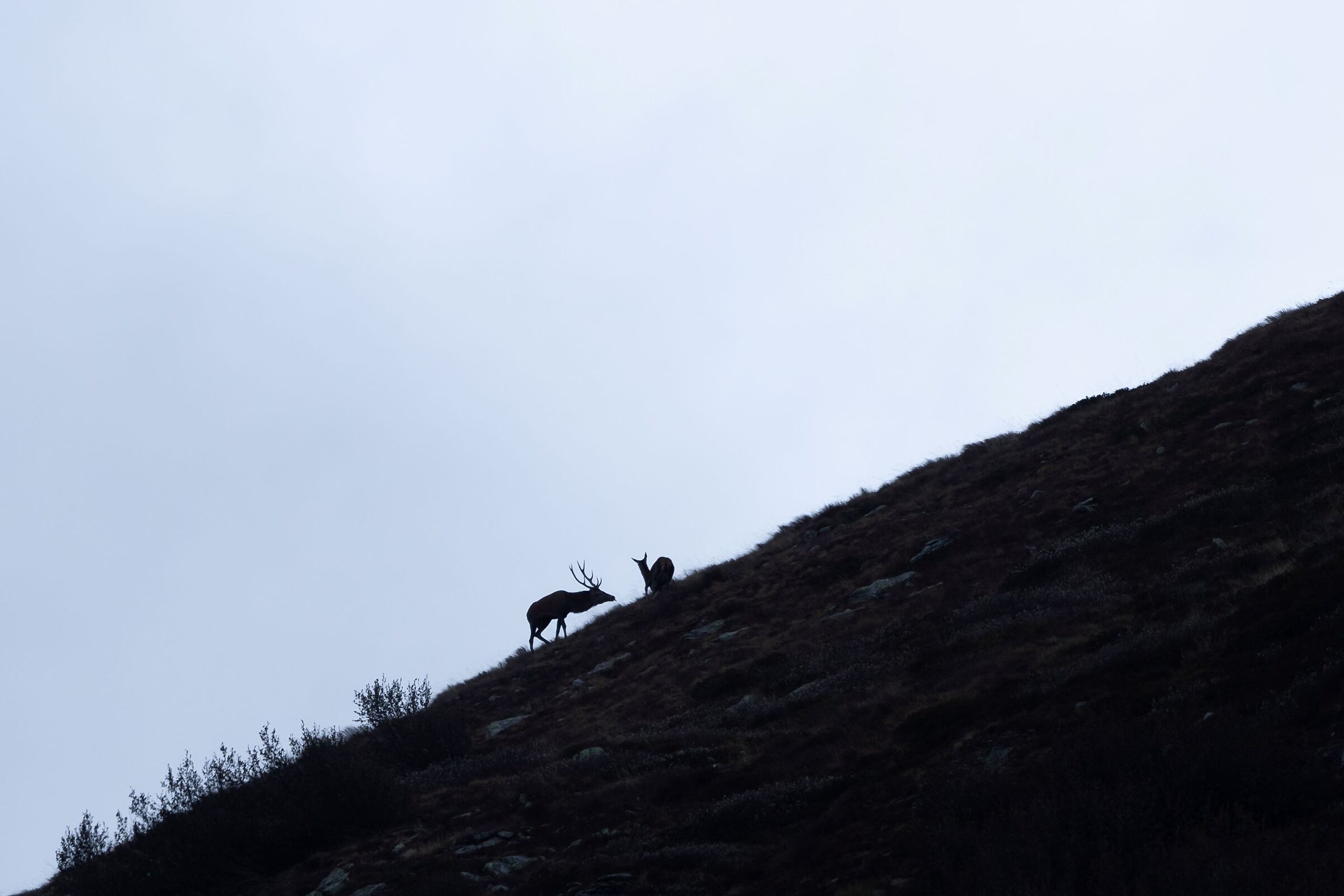 Untitled Photo