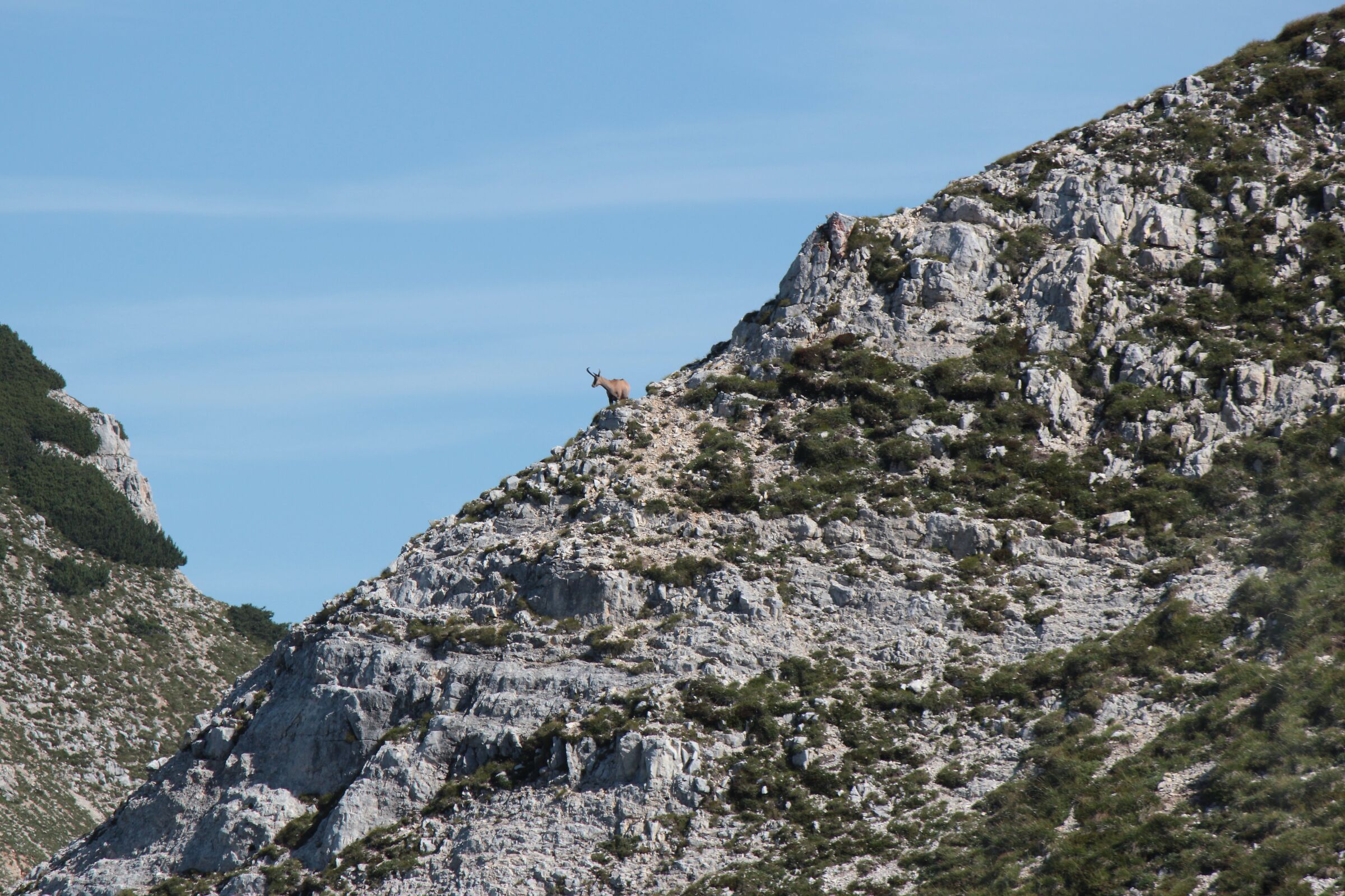 king of mountain