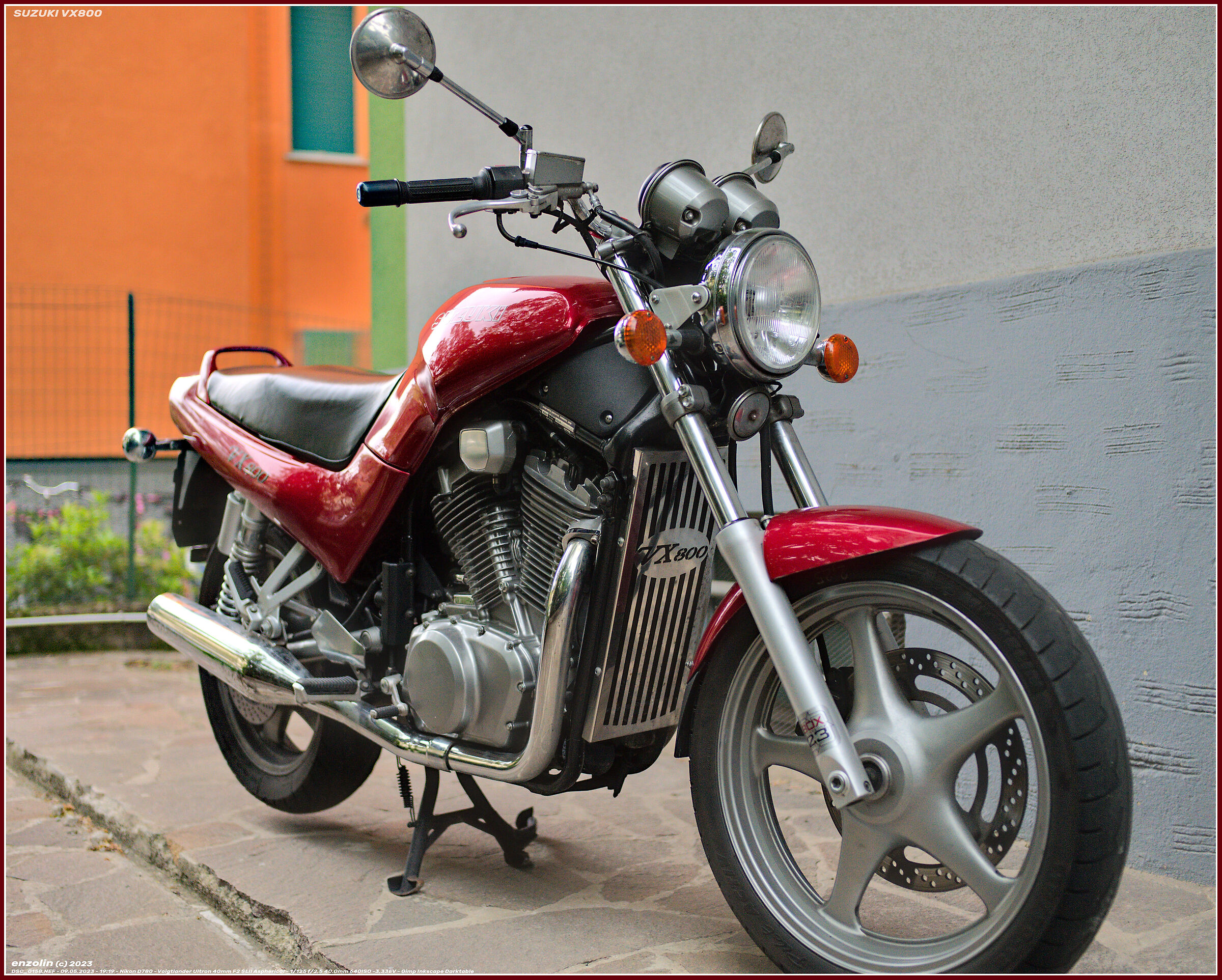 SUZUKI VX800
