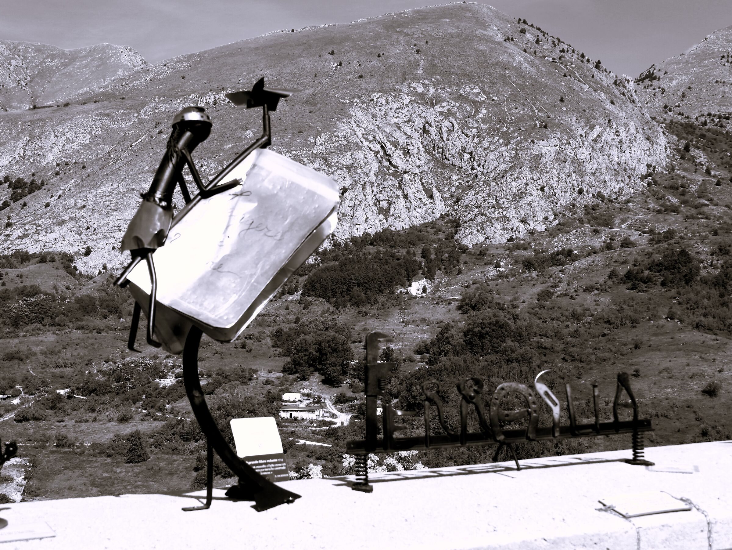 " Leggere è volare "