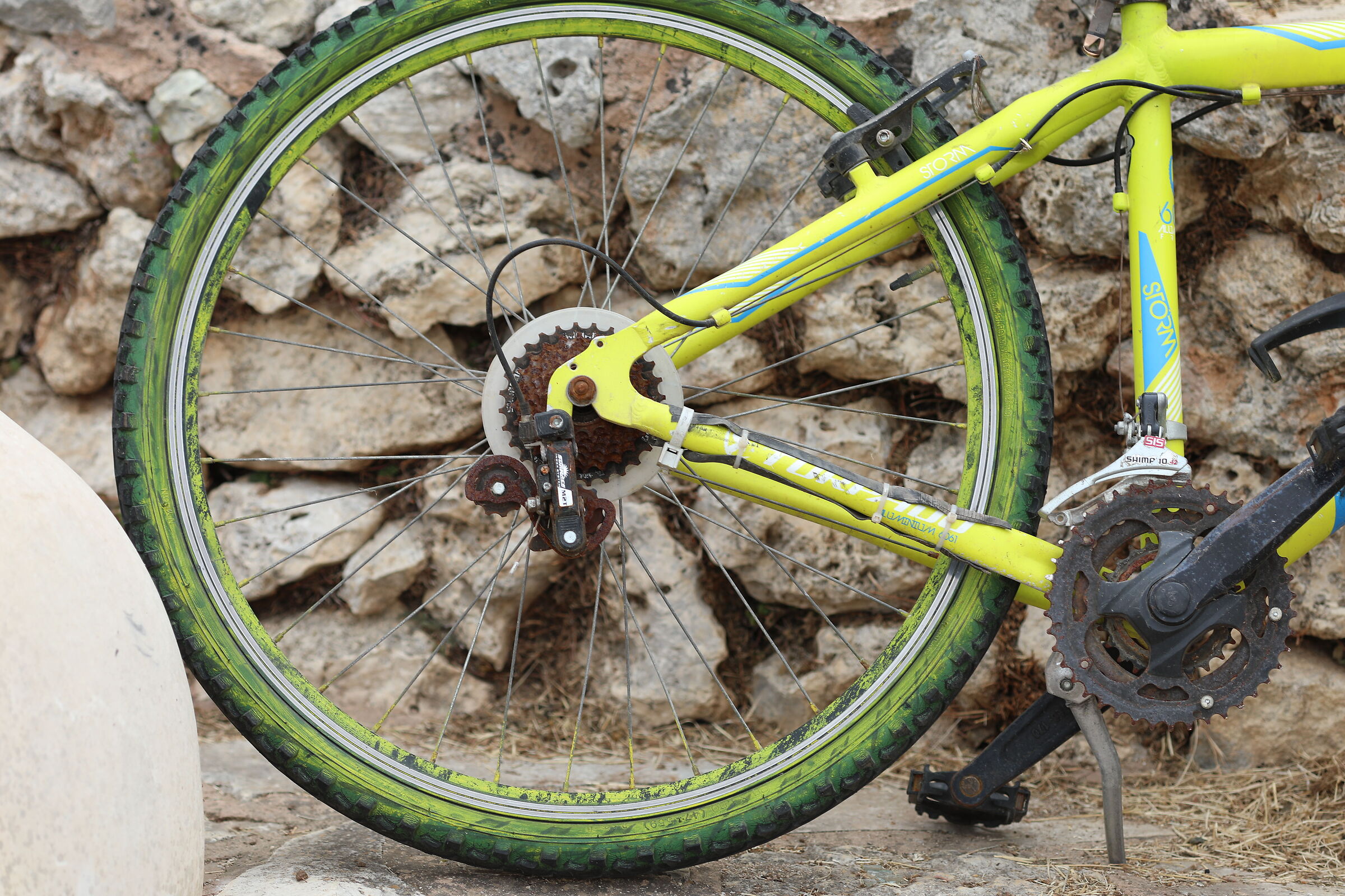 " Crop 189 " Canon 5 D IV, 135 F. 2 L USM + TC 1.4...