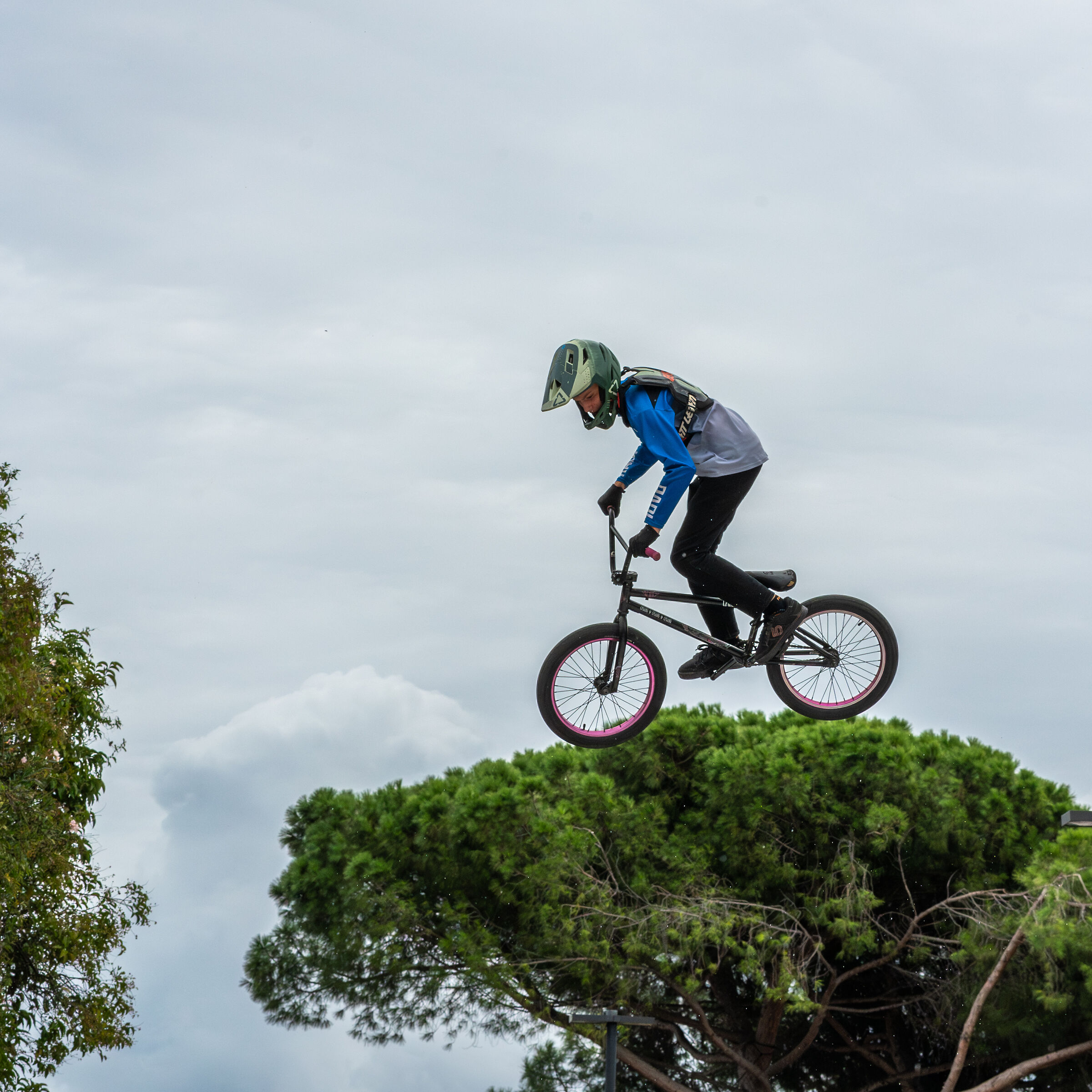 Pedalando sugli alberi