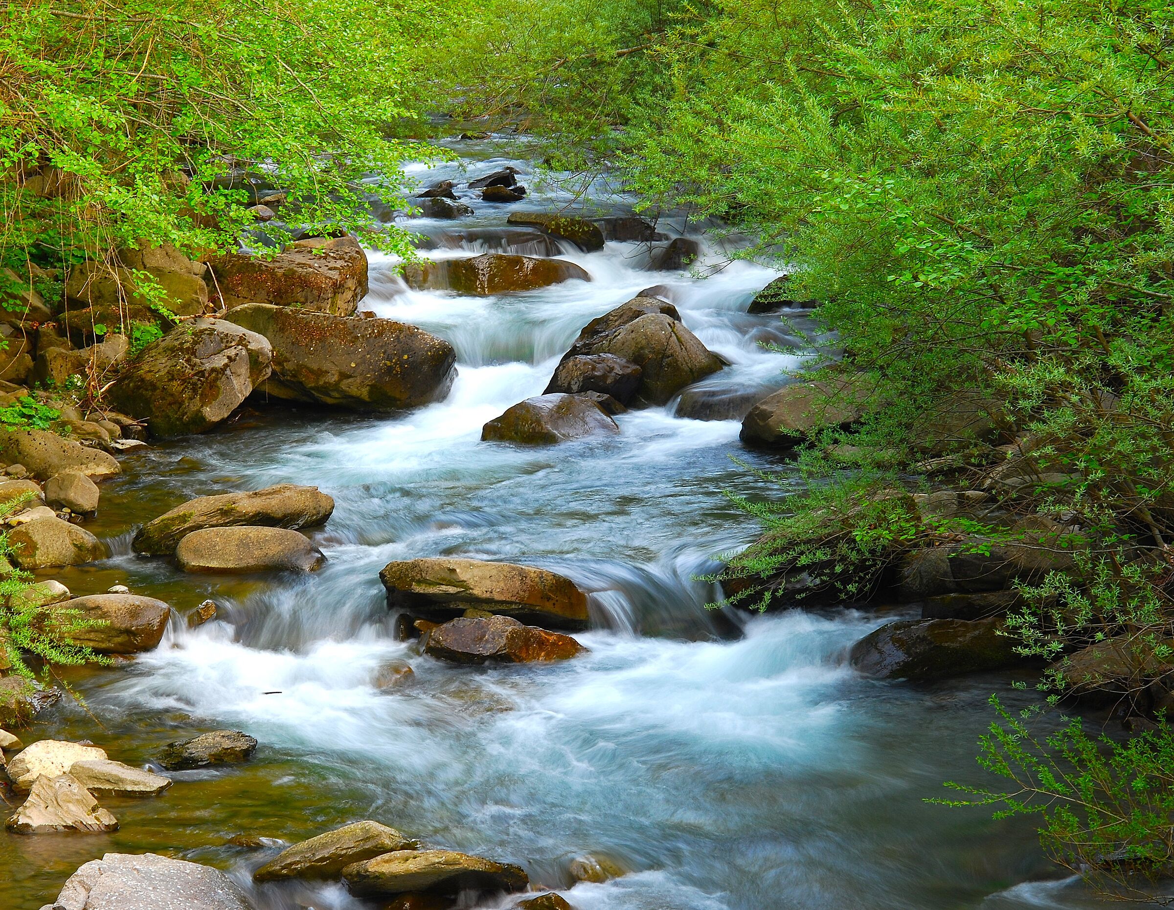 Torrent