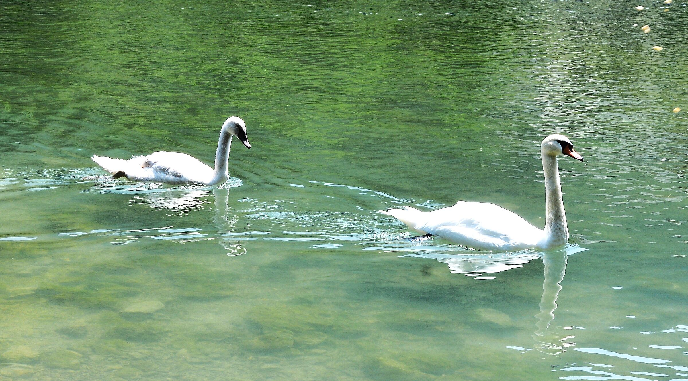 Harmonious
