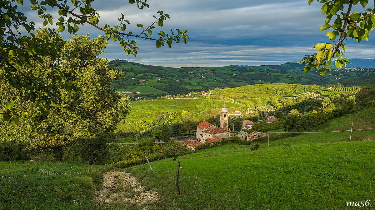 first surveys in Lessinia