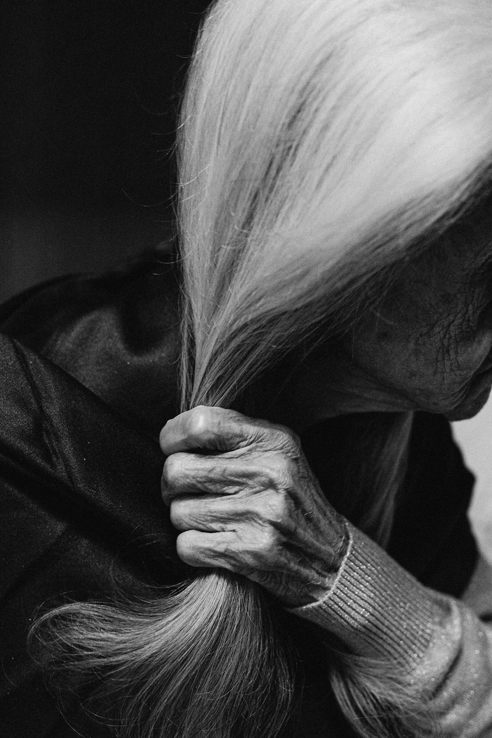 Anima Fragile