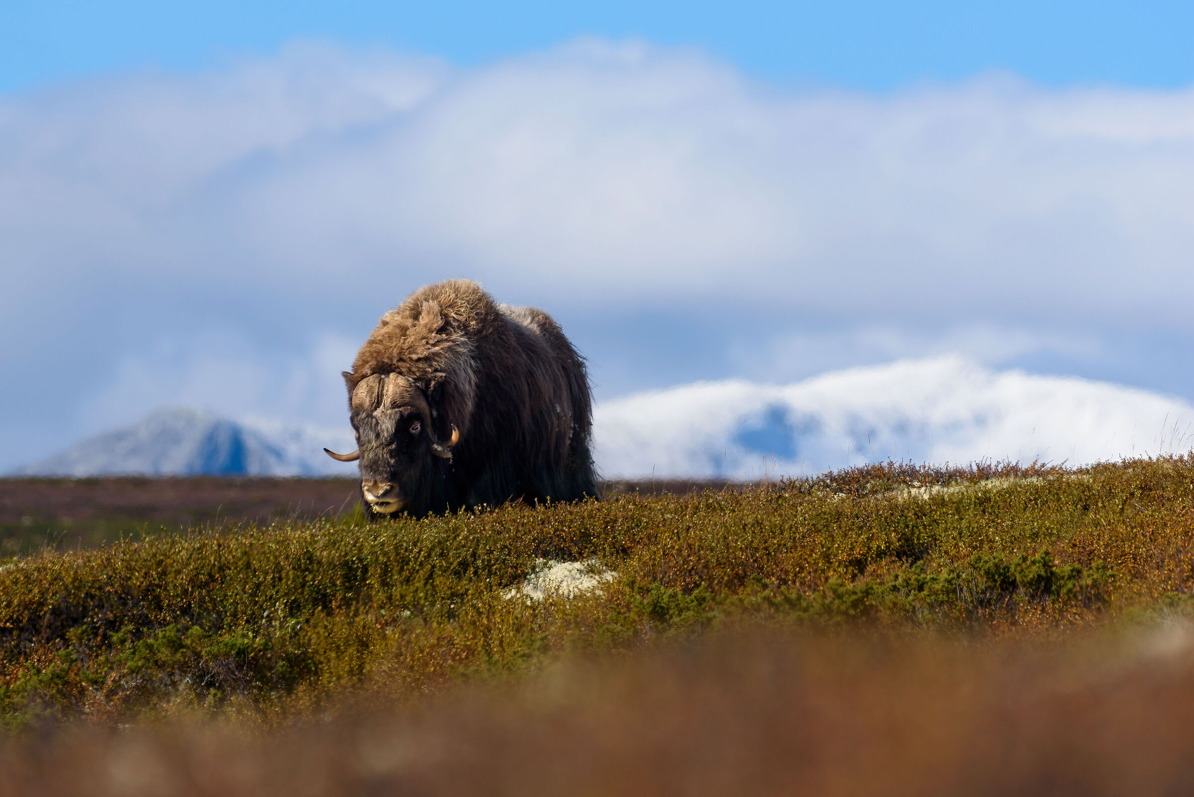 L'incontro tanto atteso