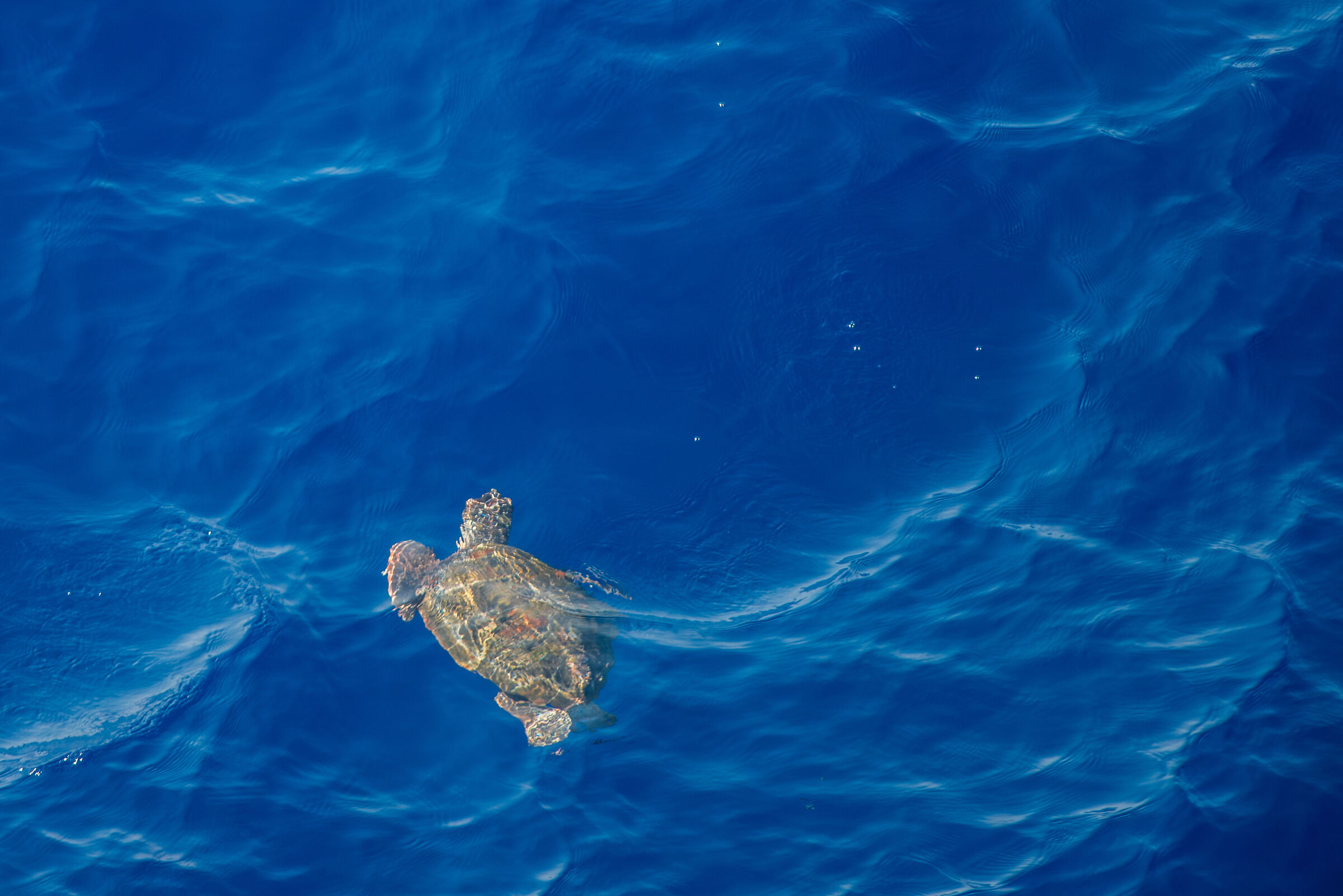In the middle of the Tyrrhenian Sea