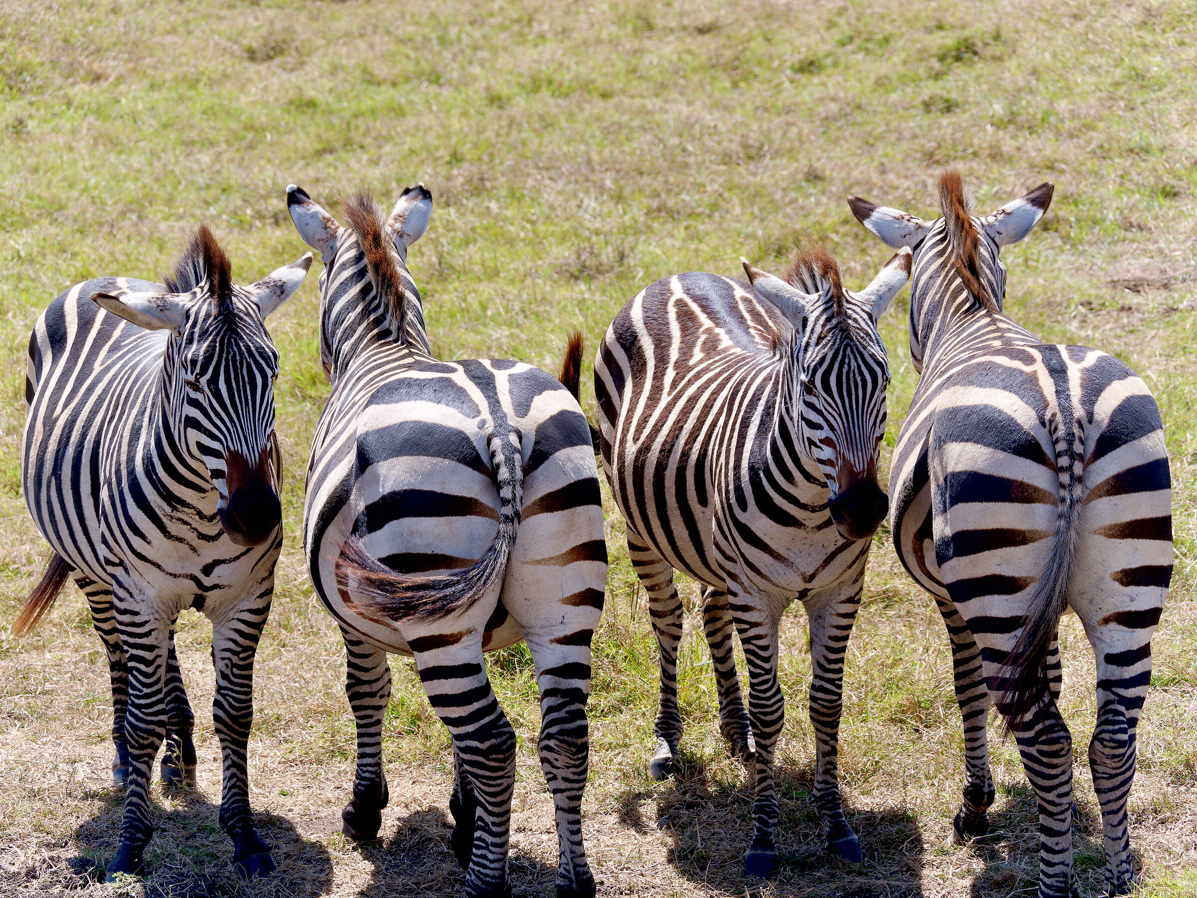 Look ahead and I've got your back!