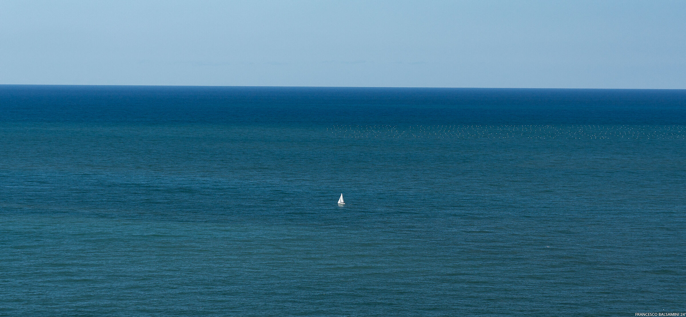 Untitled Photo