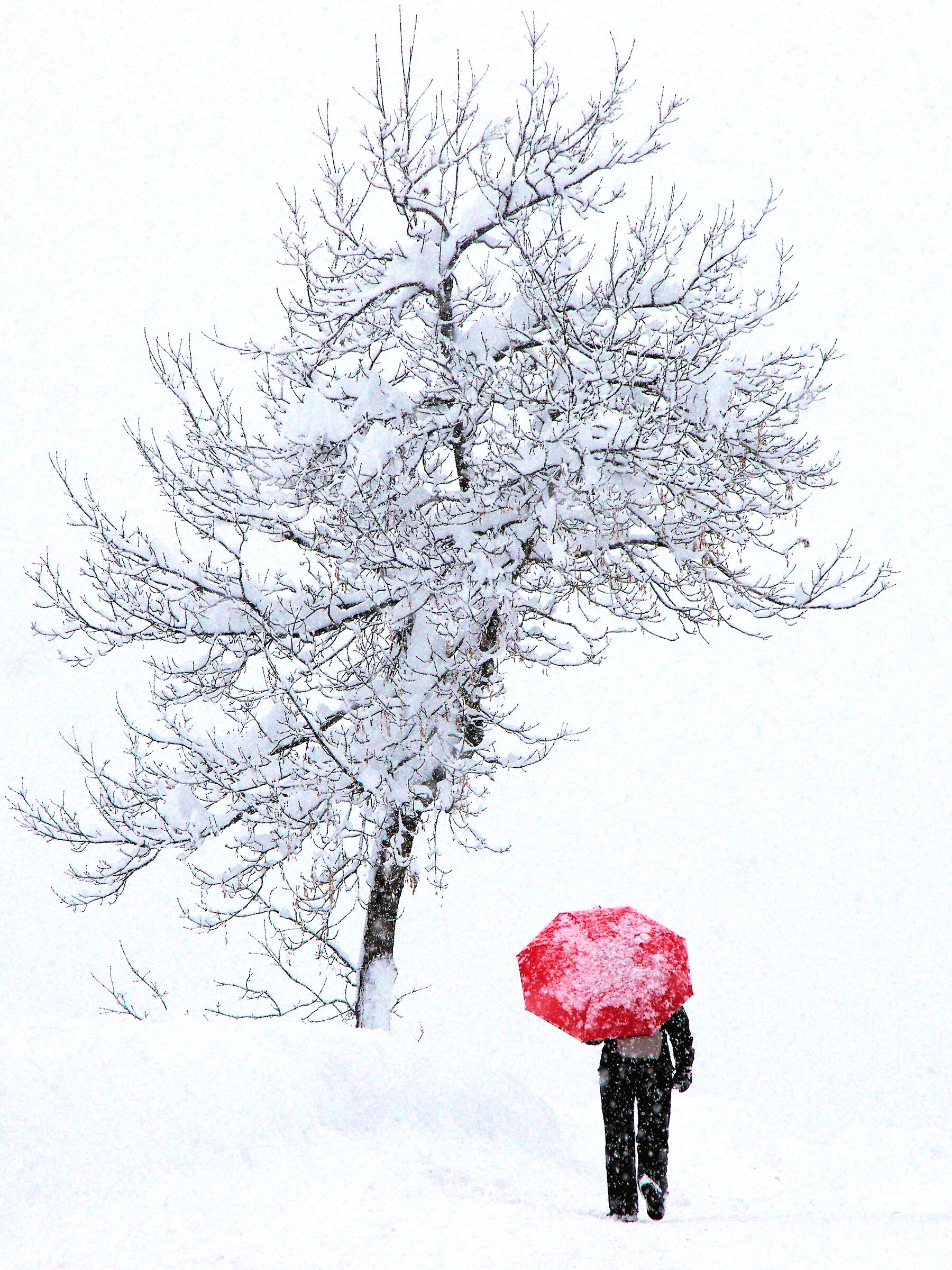 Walking in a candid silence