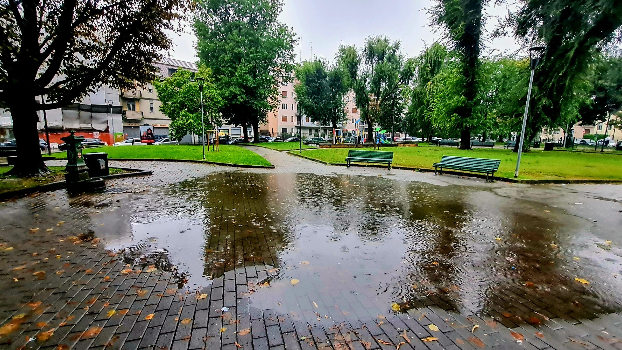 Visitate il lago di Dergano (Milano)
