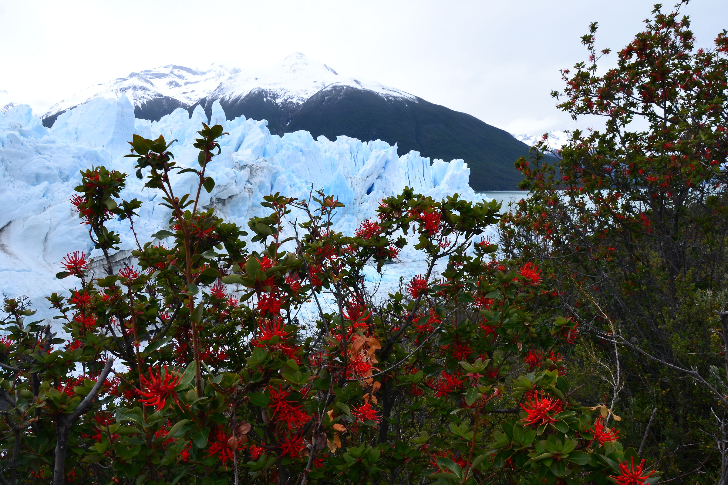 Perito Moreno, Argentina