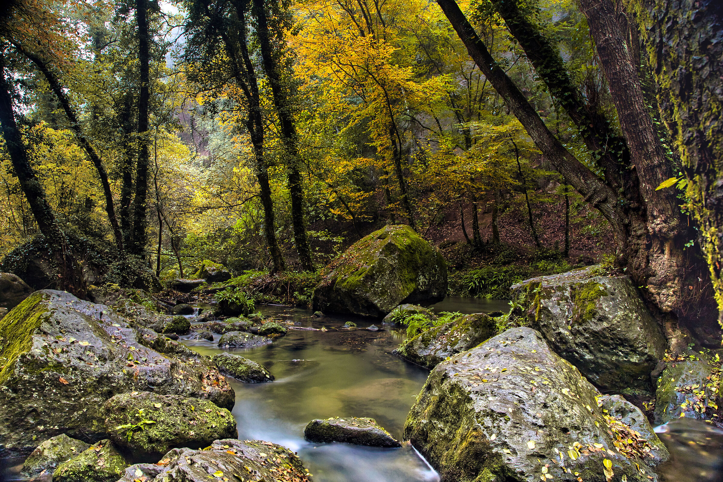 Glimpse of early autumn