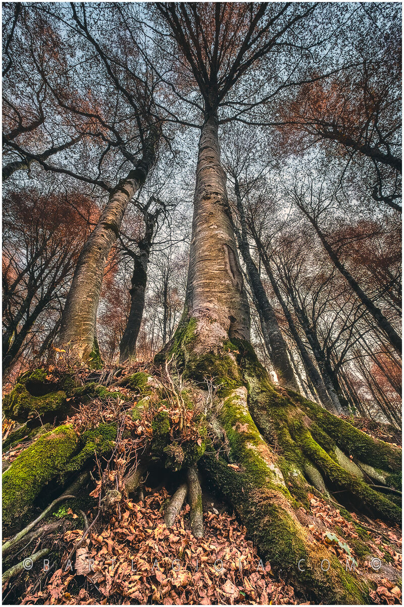 autumn in Abruzzo