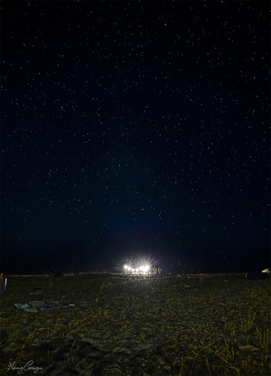 Una cena in spiaggia