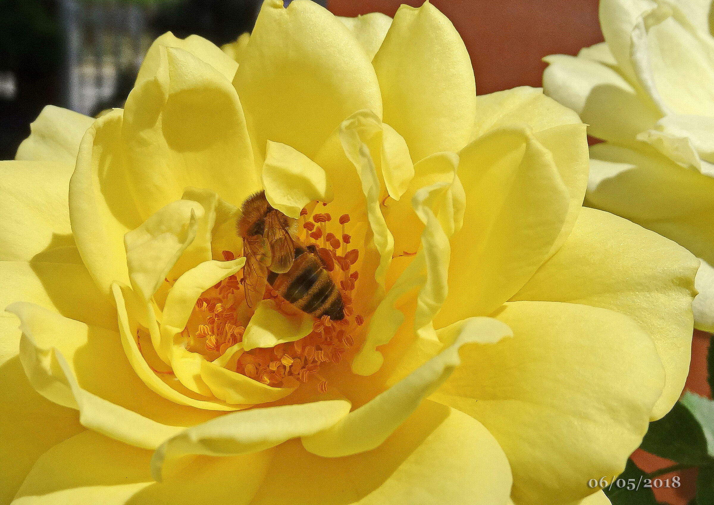 Untitled Photo
