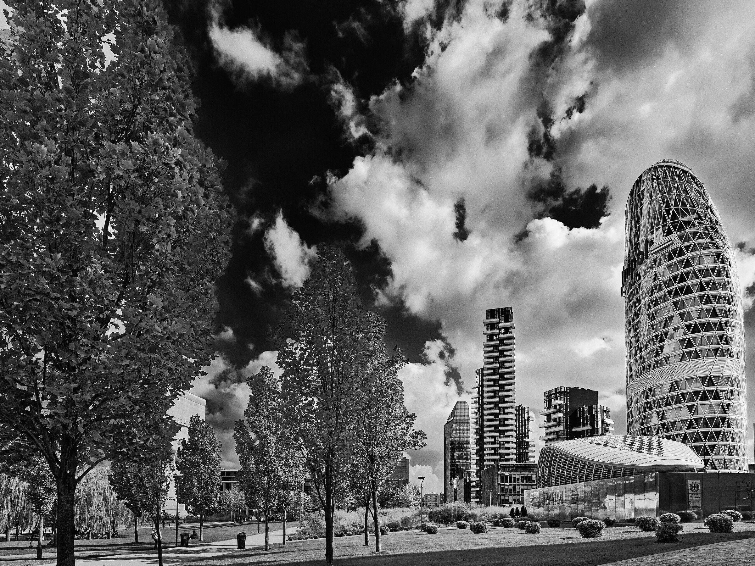 Veduta dalla Biblioteca degli Alberi Milano