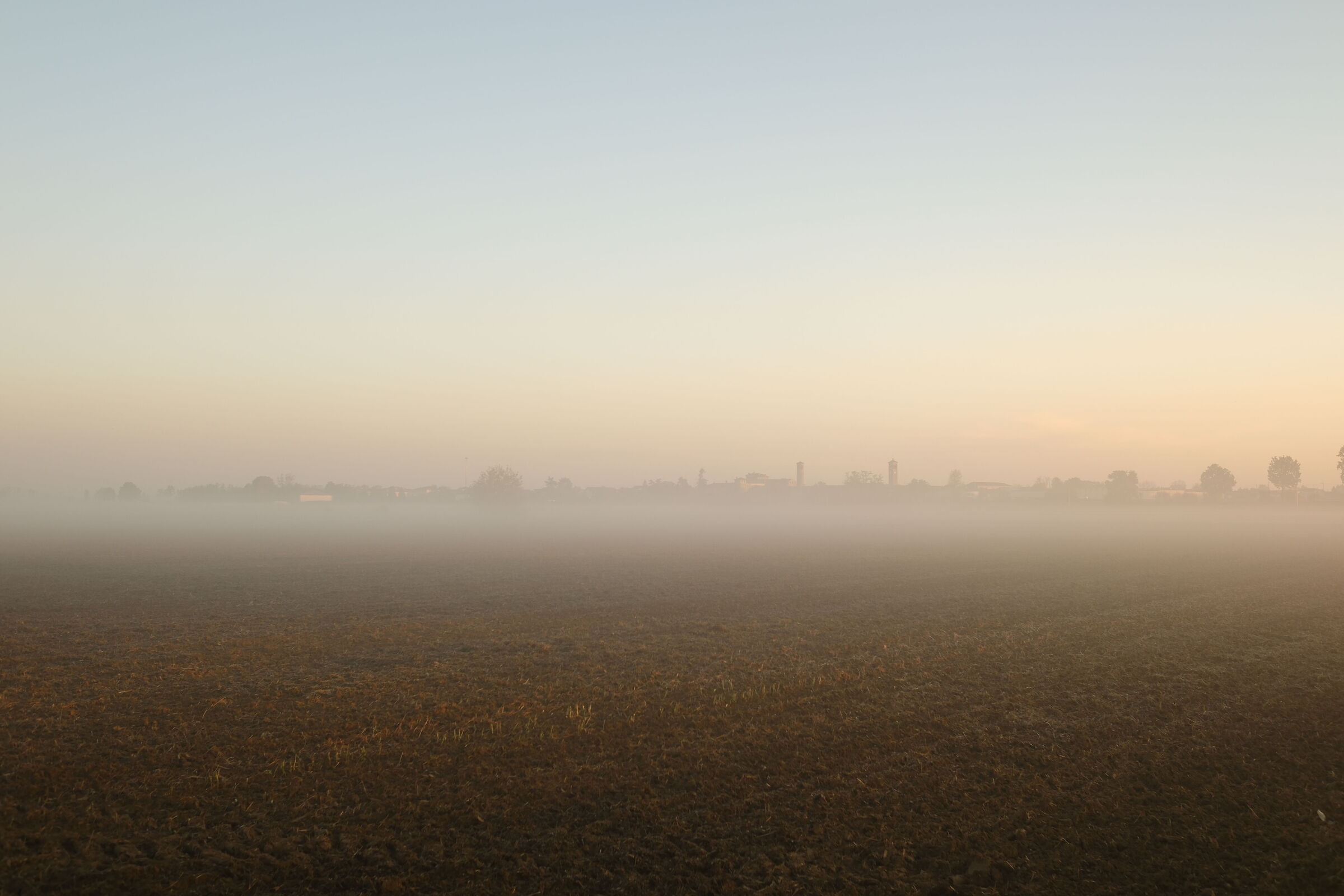 First fogs