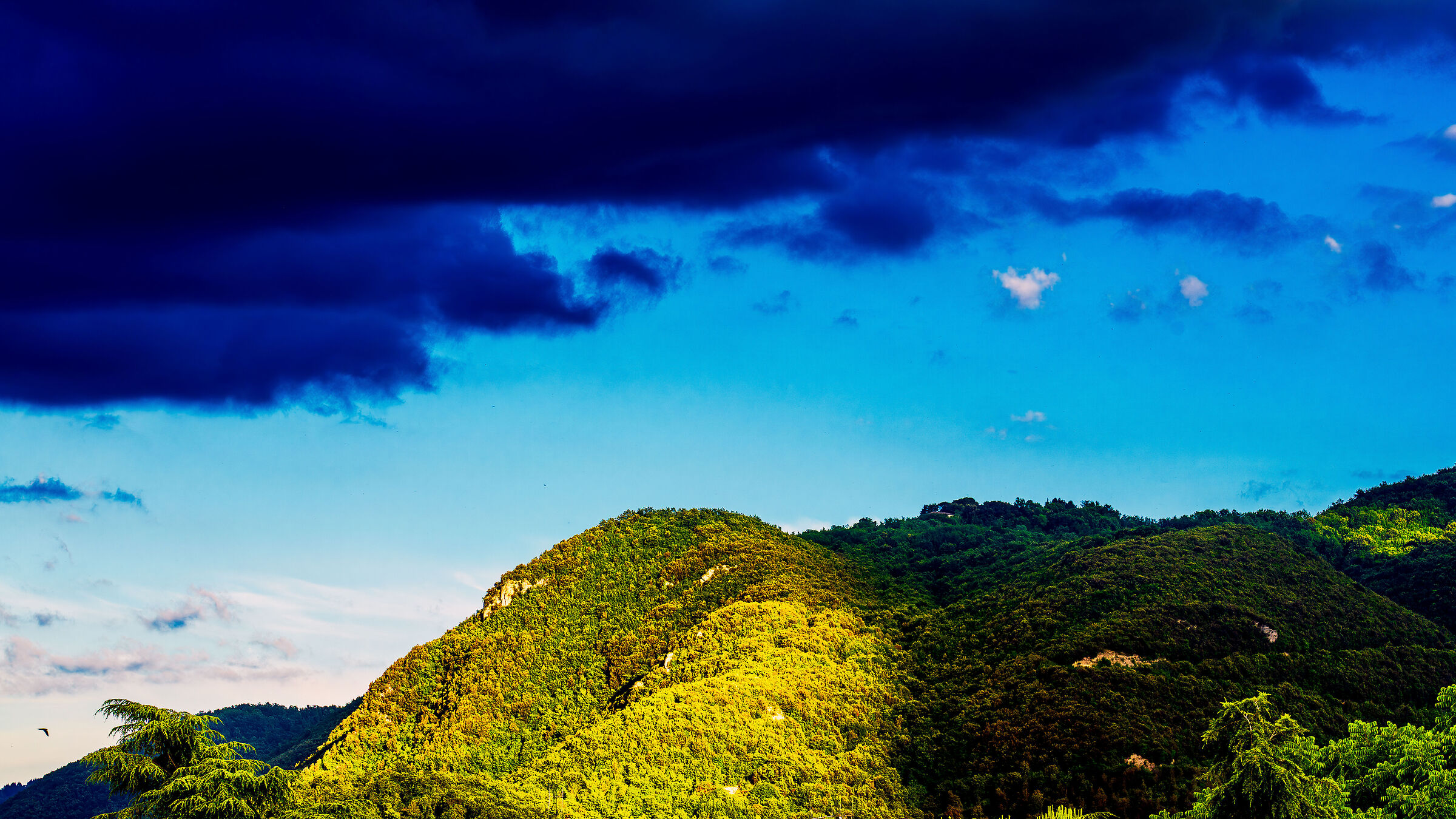 Rieti