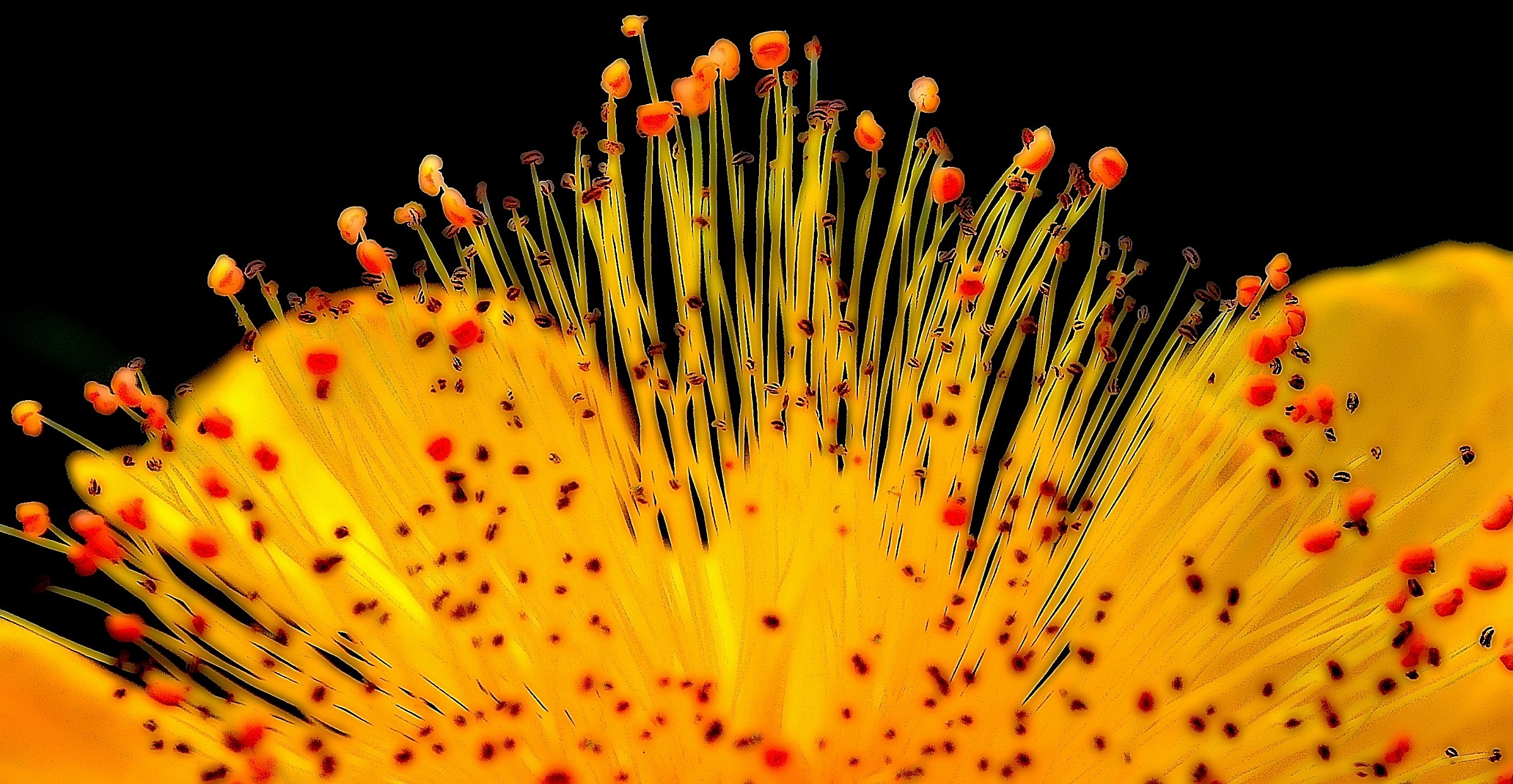 feux d'artifice peintures