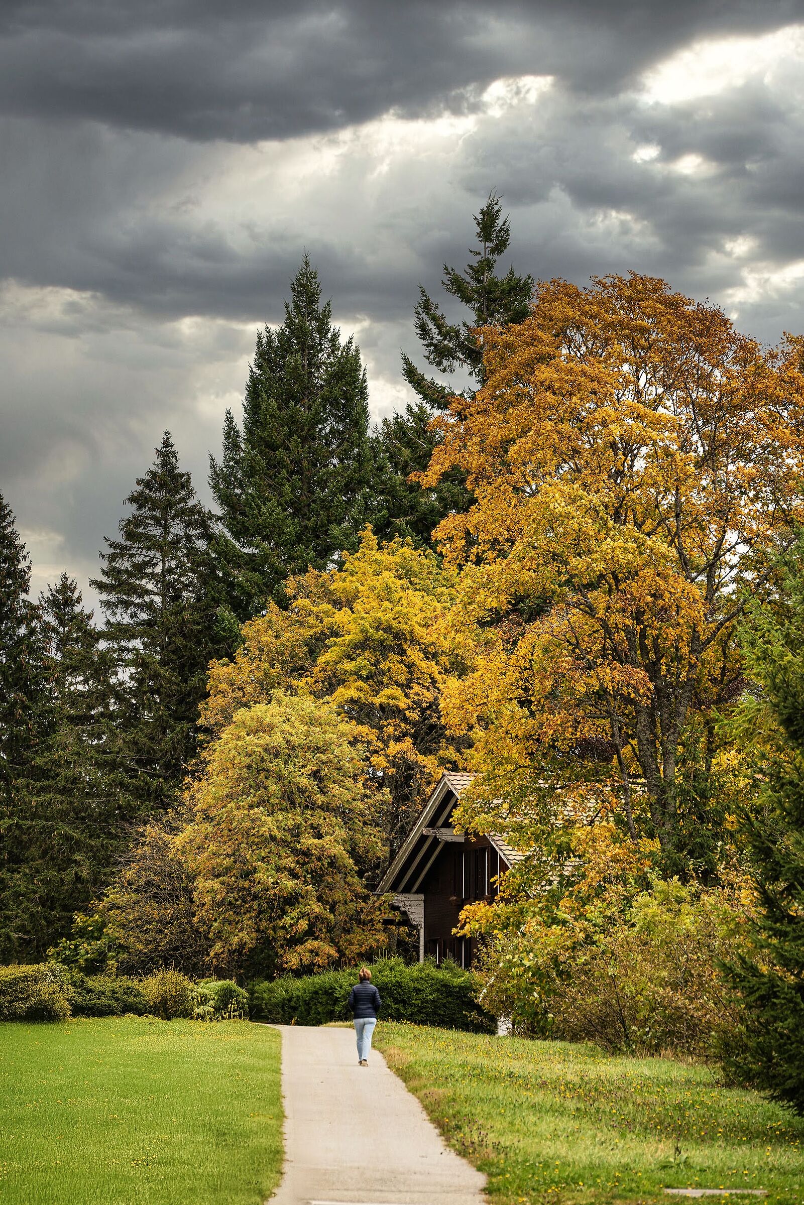 Autumn Elegy, Les Rasses, Bullet, Switzerland