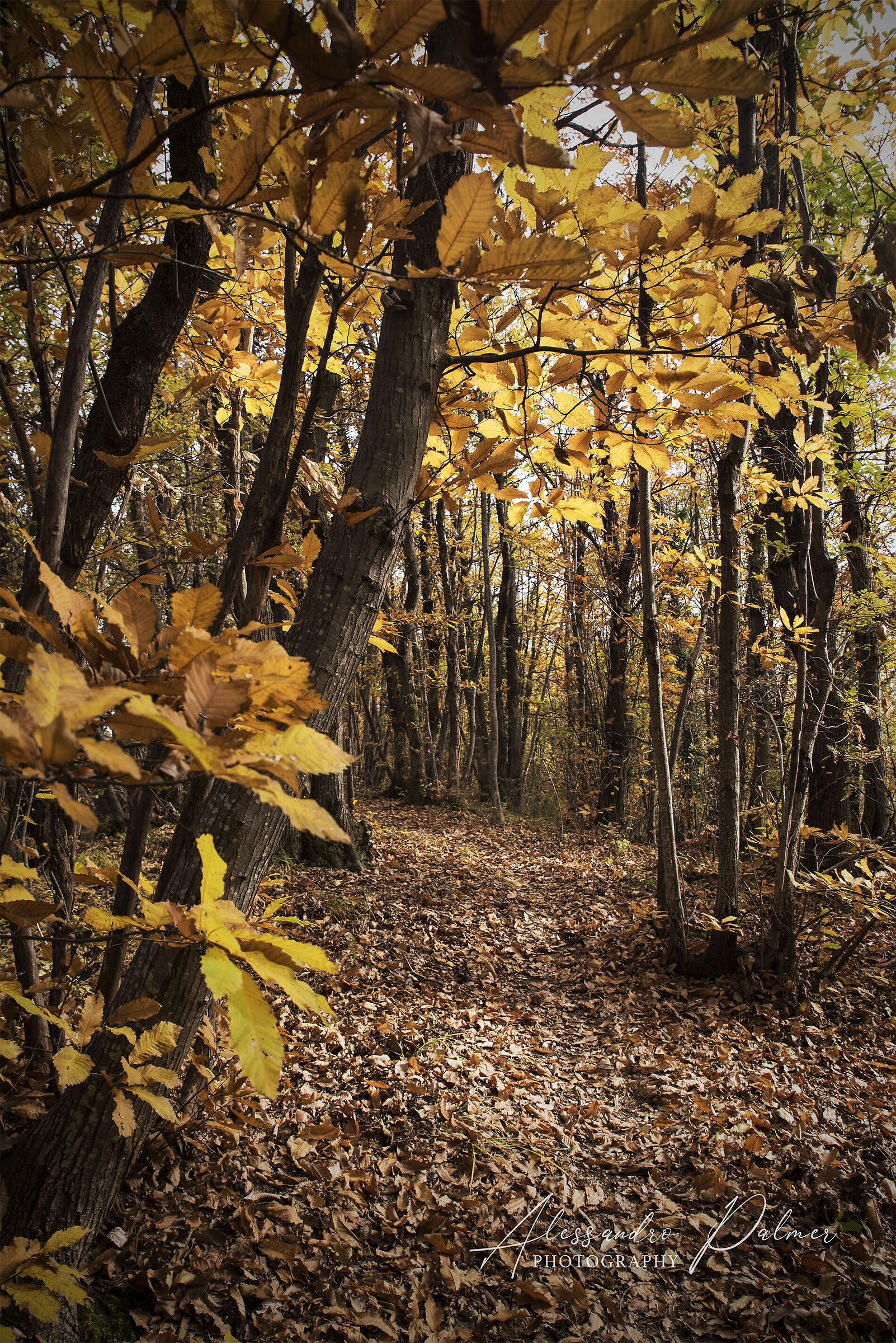 Autumn is just around the corner
