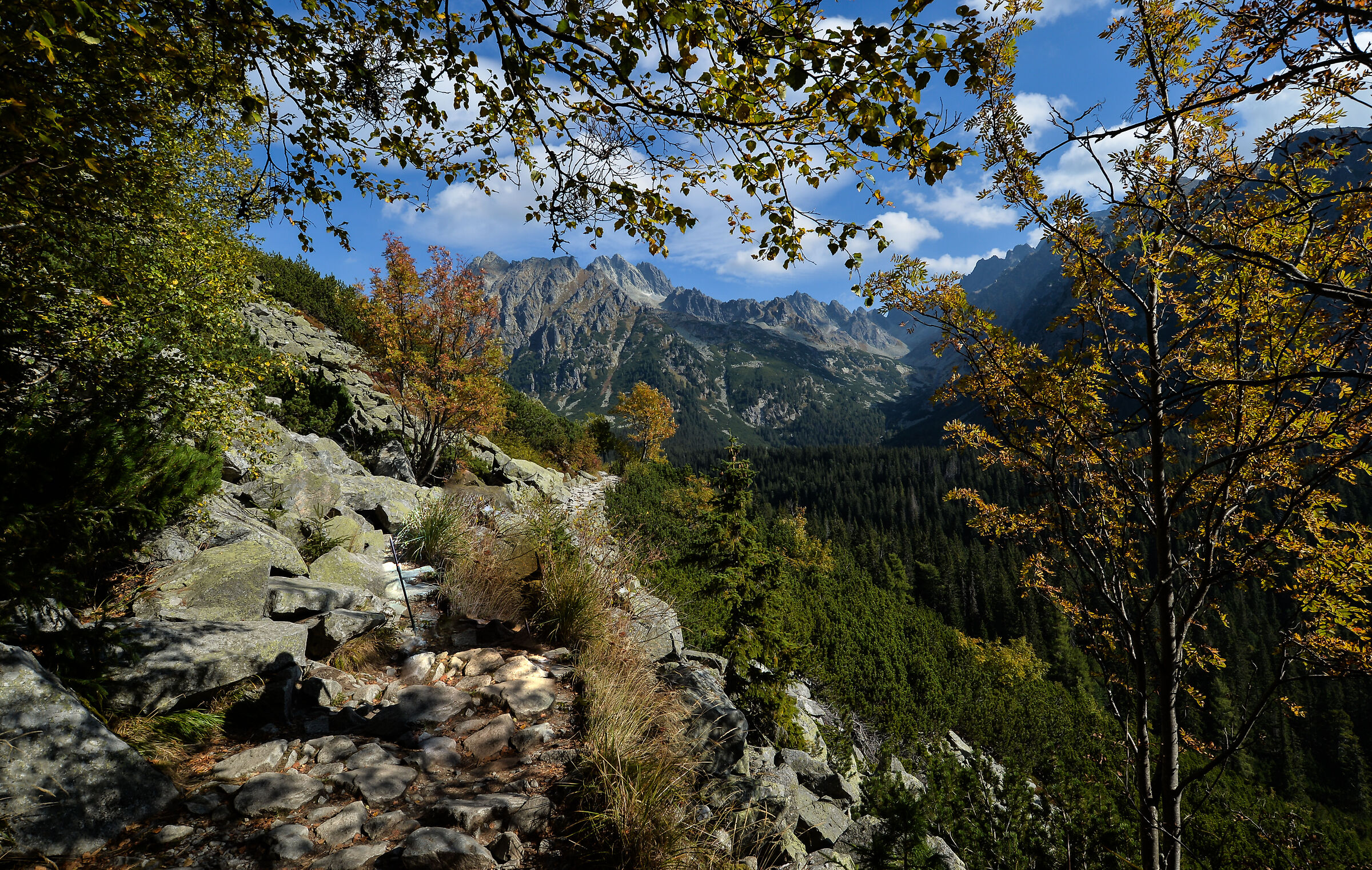 Verso Popradske Pleso. Slovacchia Alti Tatra.