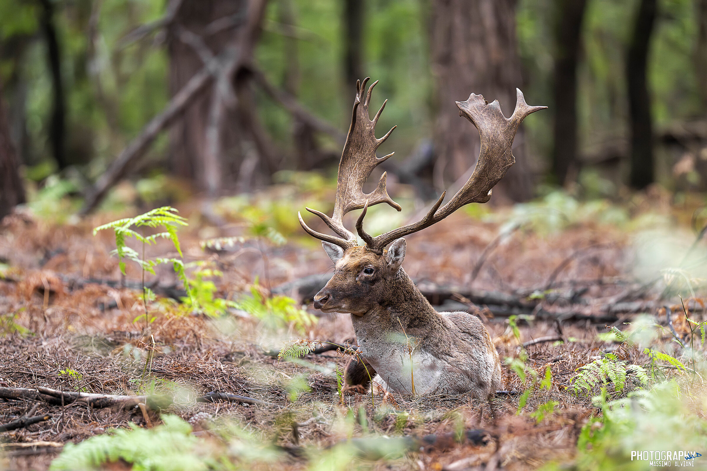 Il riposo del guerriero.