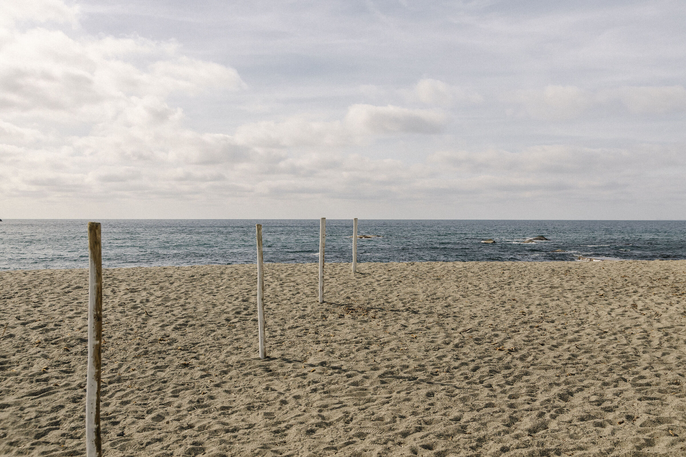 Untitled Photo