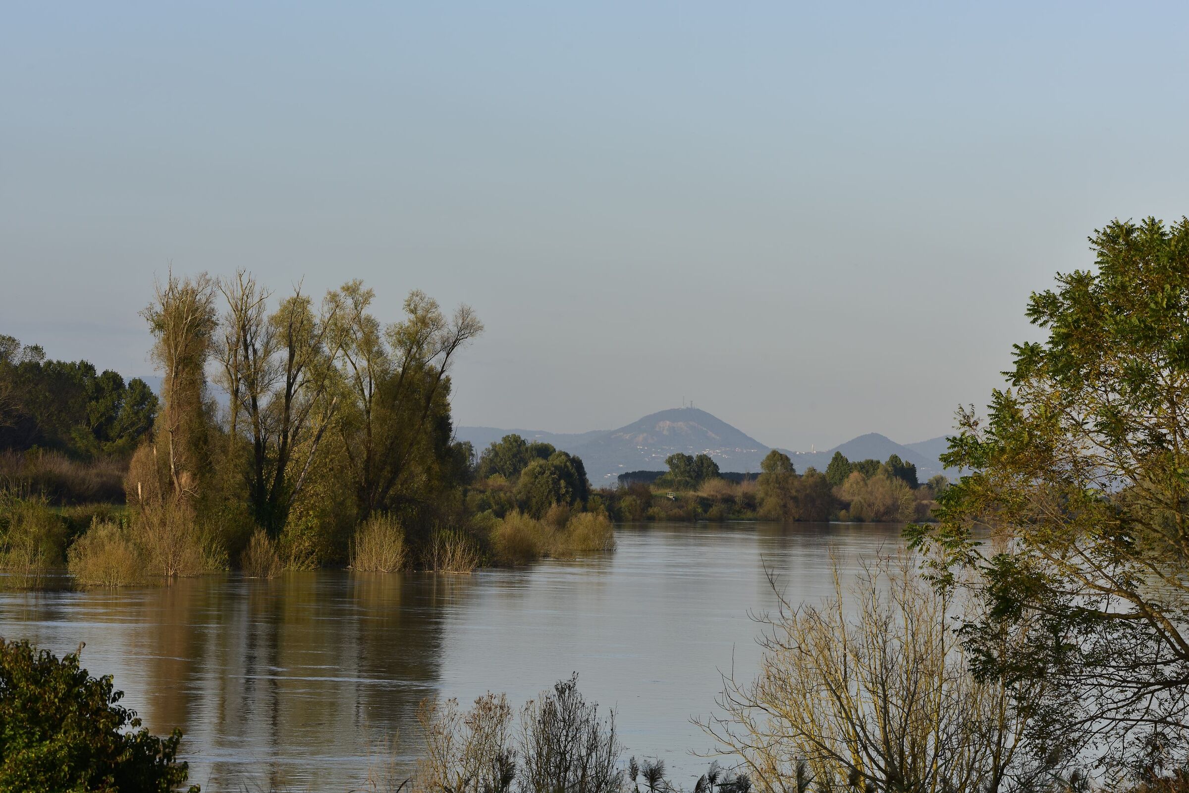 dall'argine dell'Adige verso nord est