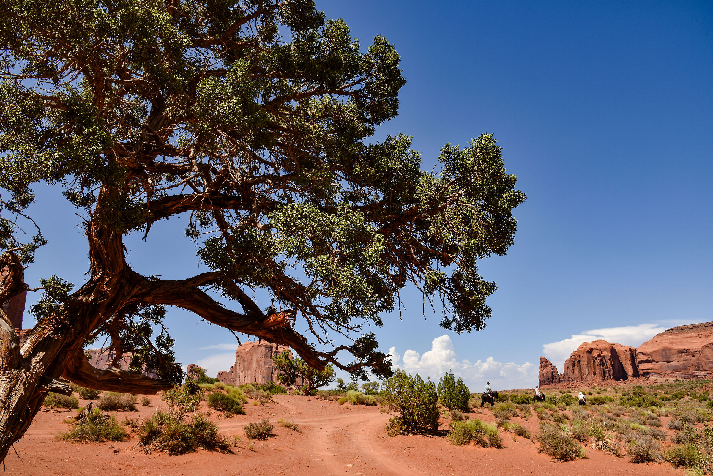 Monument Valley Navajo Tribal Park