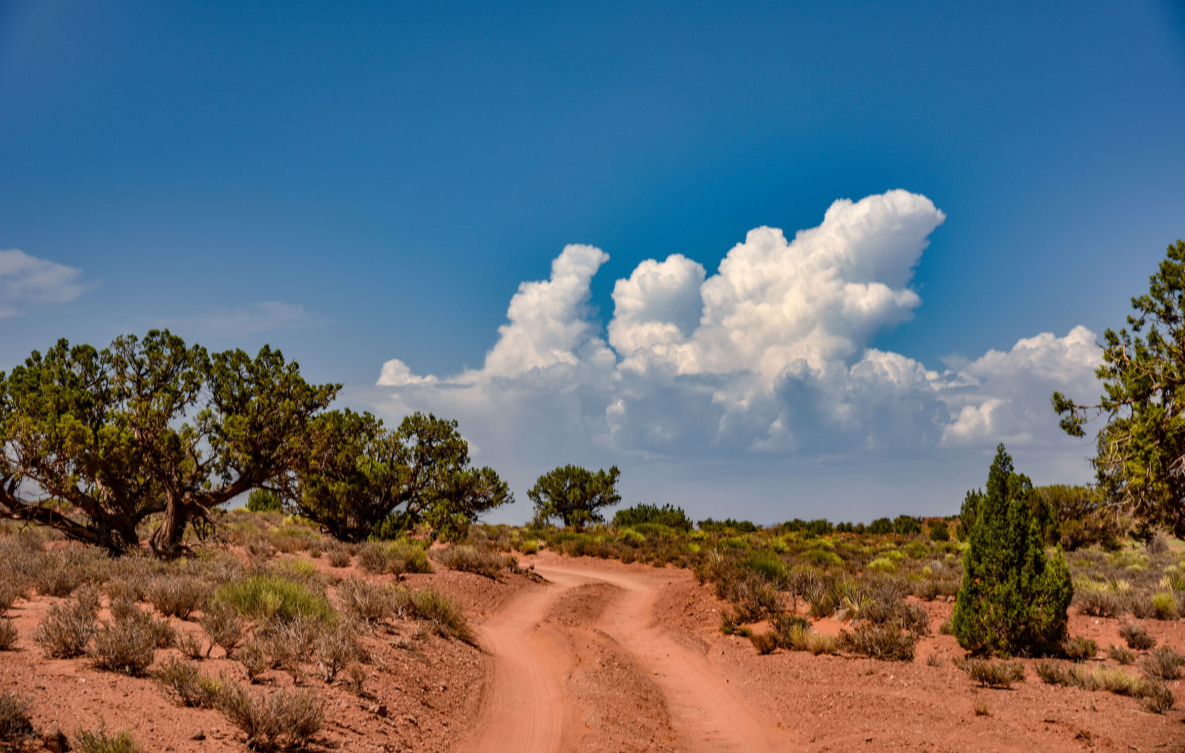 Monument Valley Navajo Tribal Park