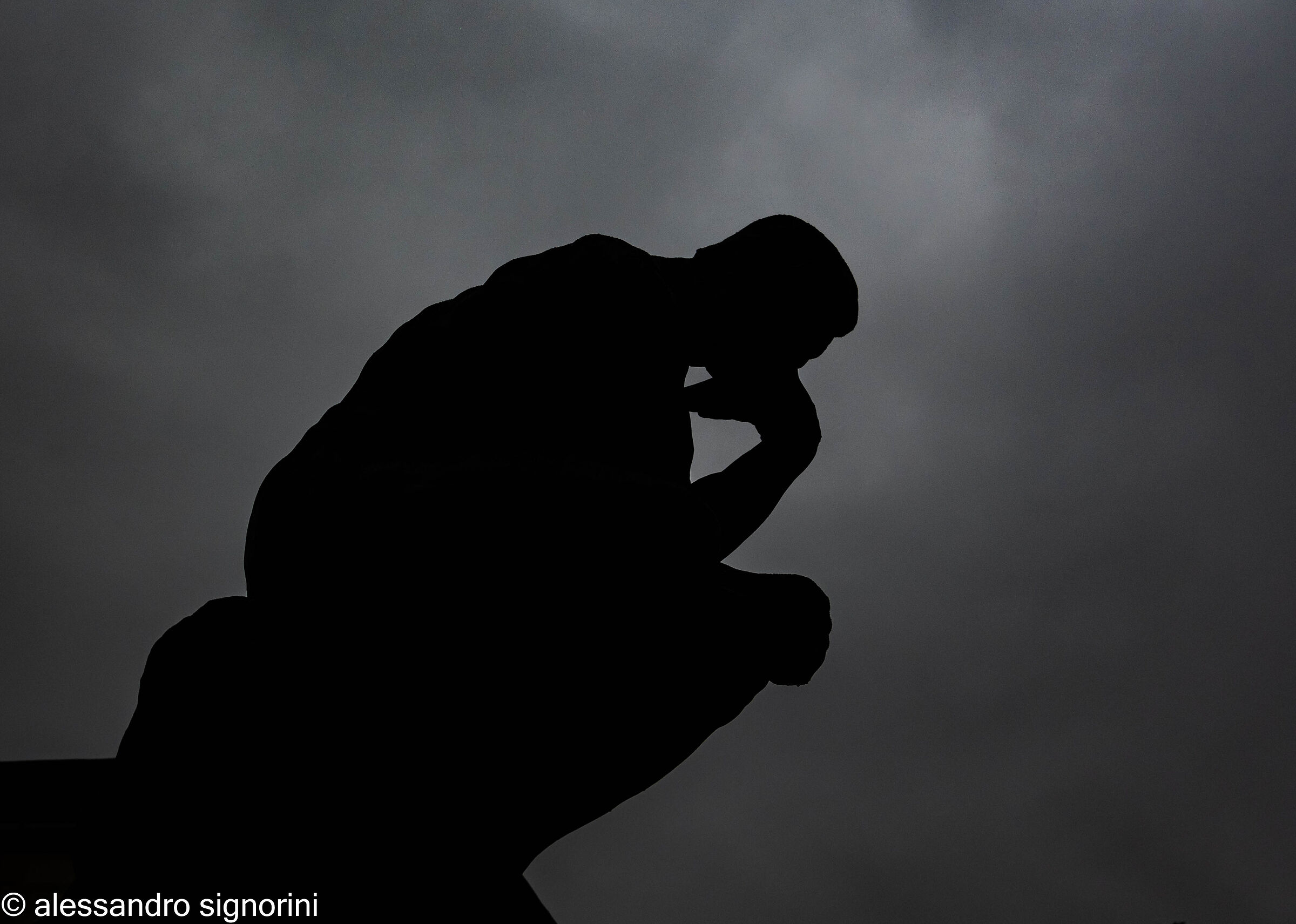 Rodin the Thinker