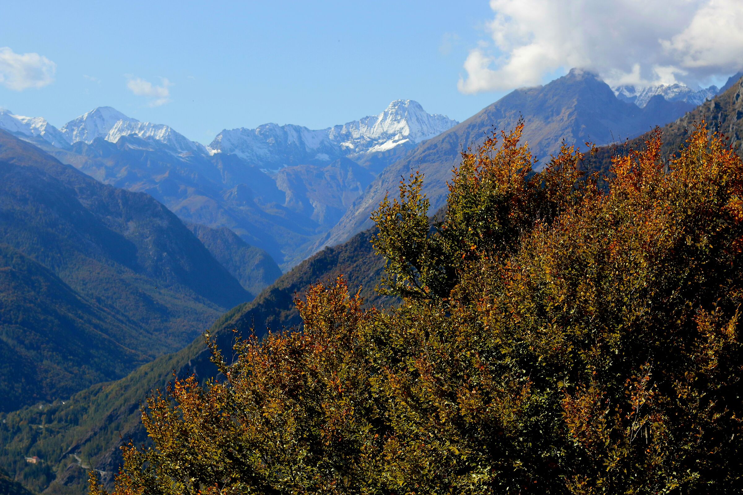 Paesaggio montano