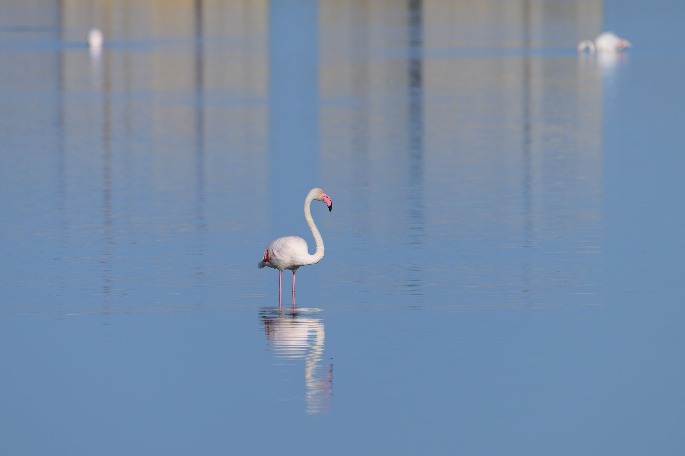 Salt pans of Trapani