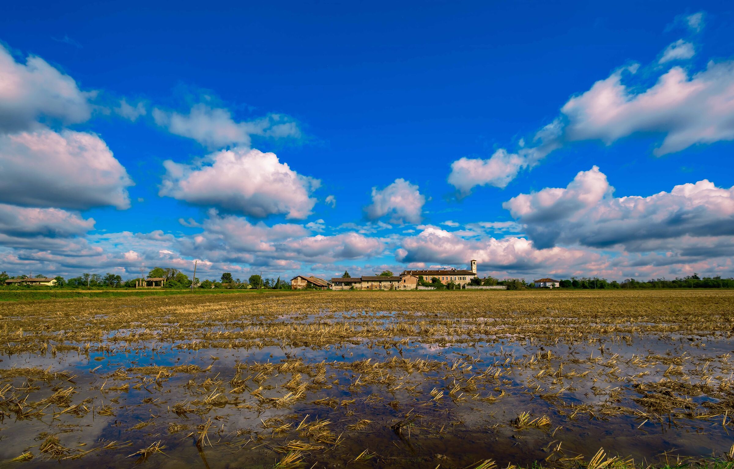 I colori della Lomellina
