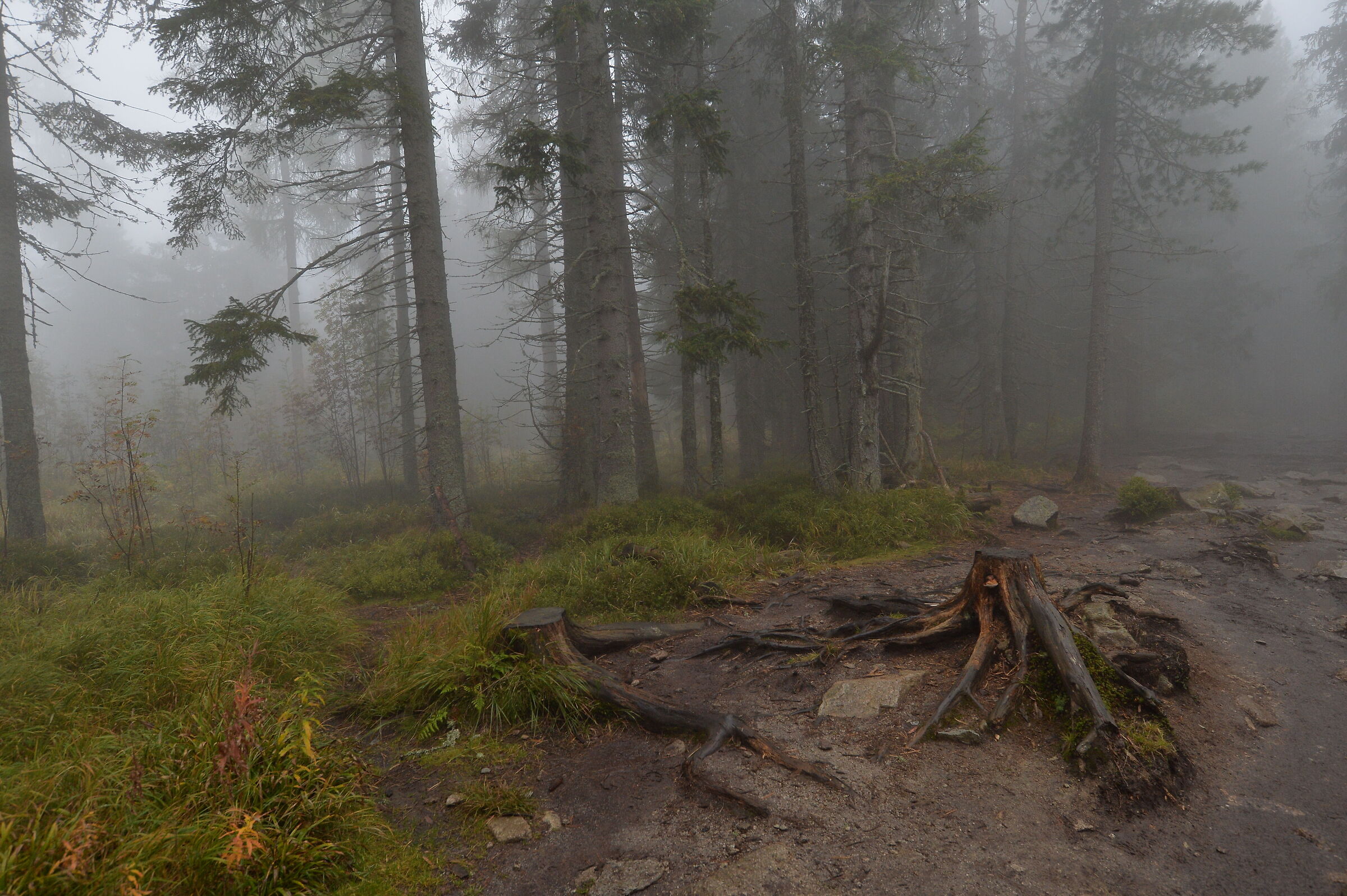 Monti Tatra. Slovacchia 1