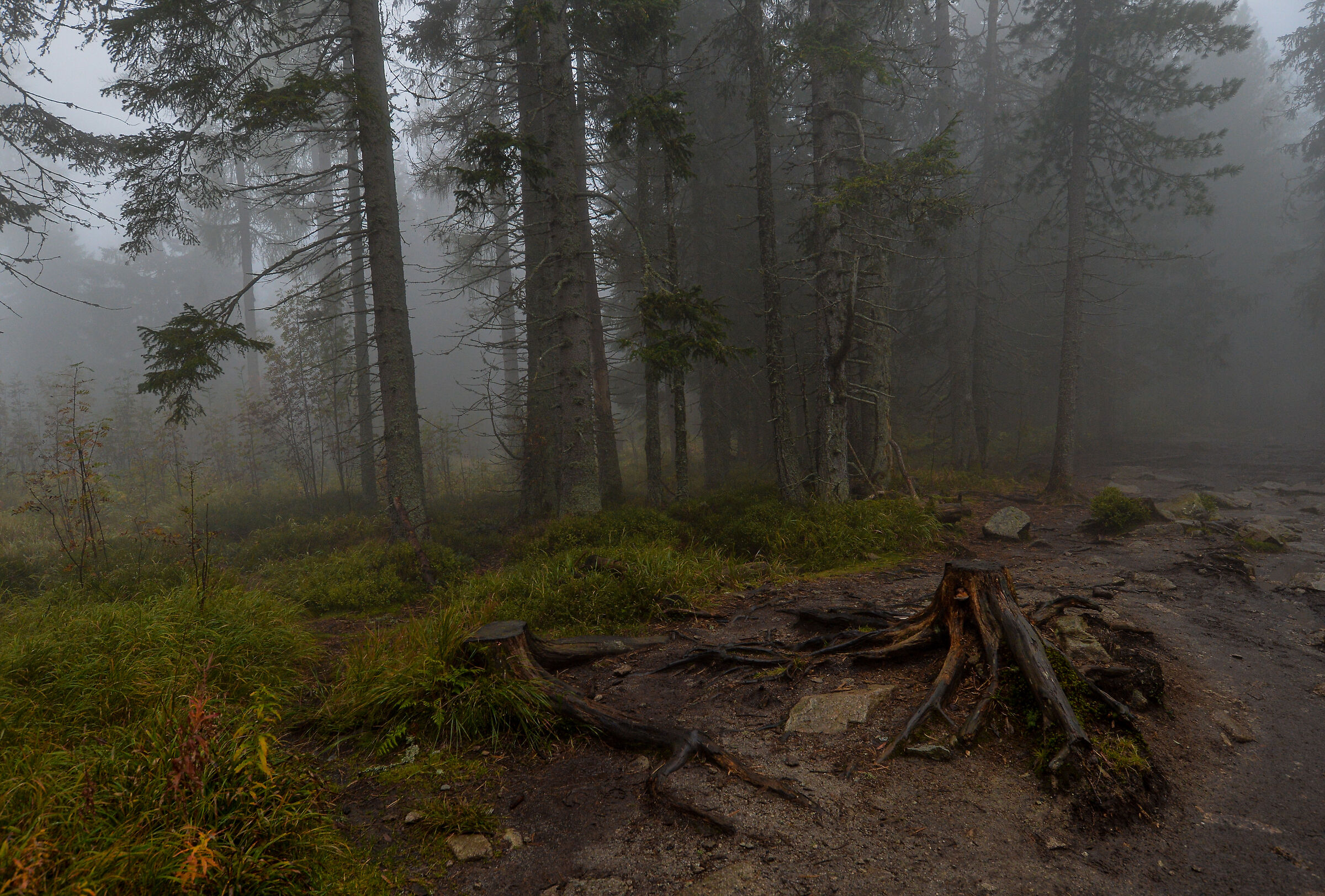 Tatra Mountains. Slovakia 5