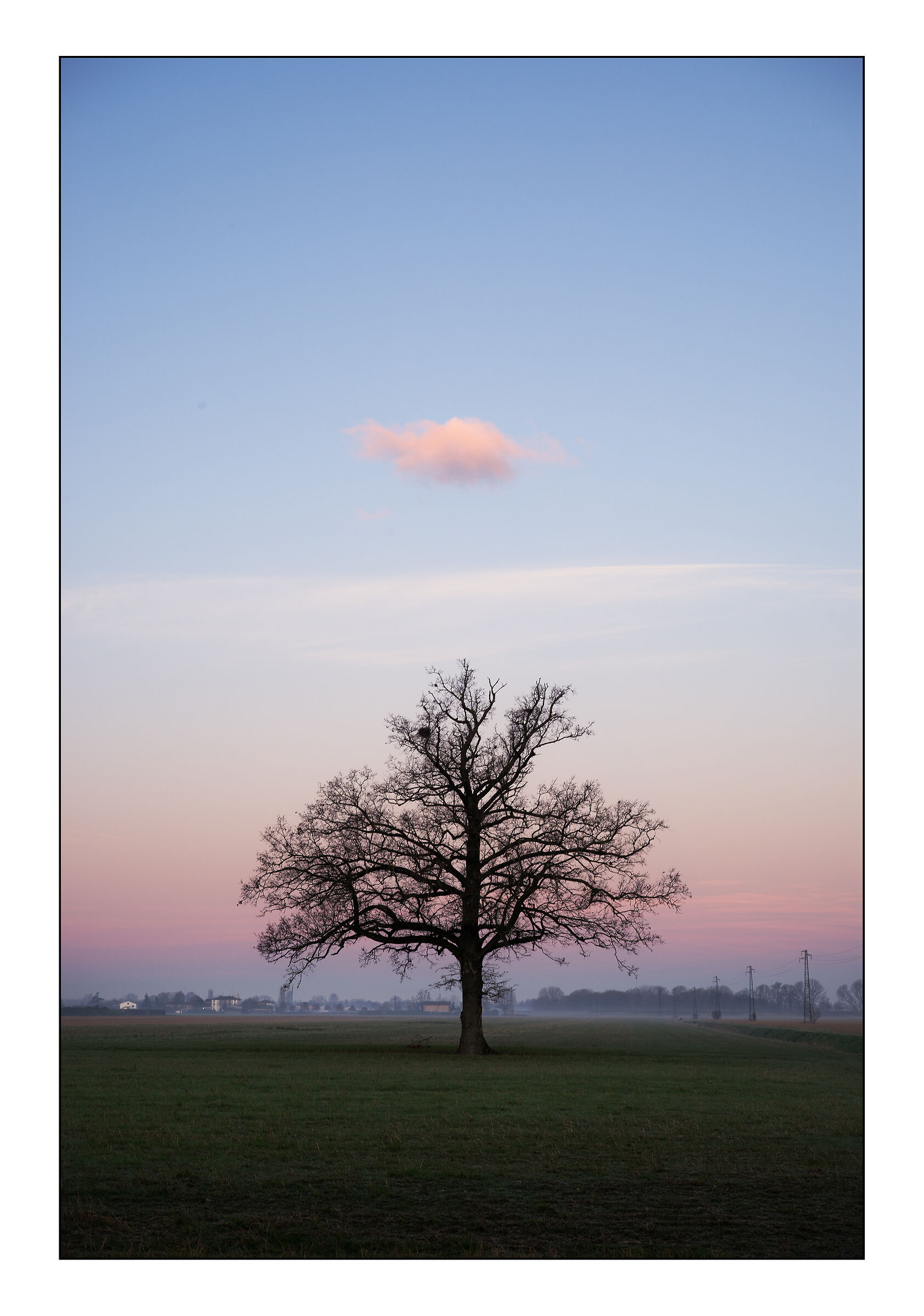 La quercia e la nuvola