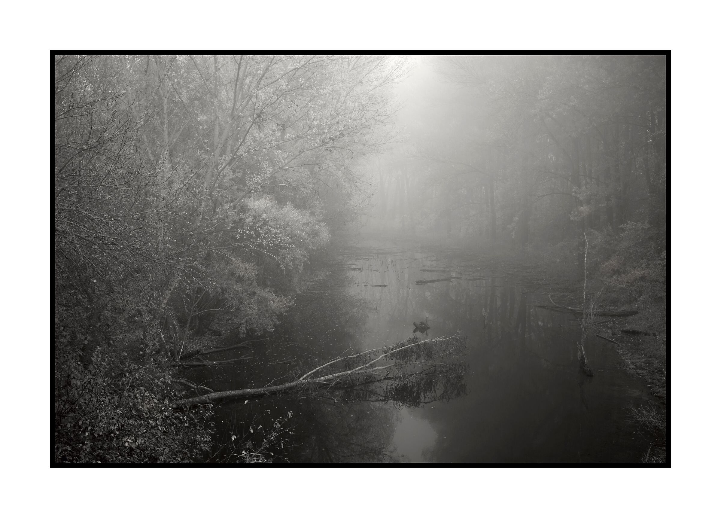 La golena della "Parma Morta"