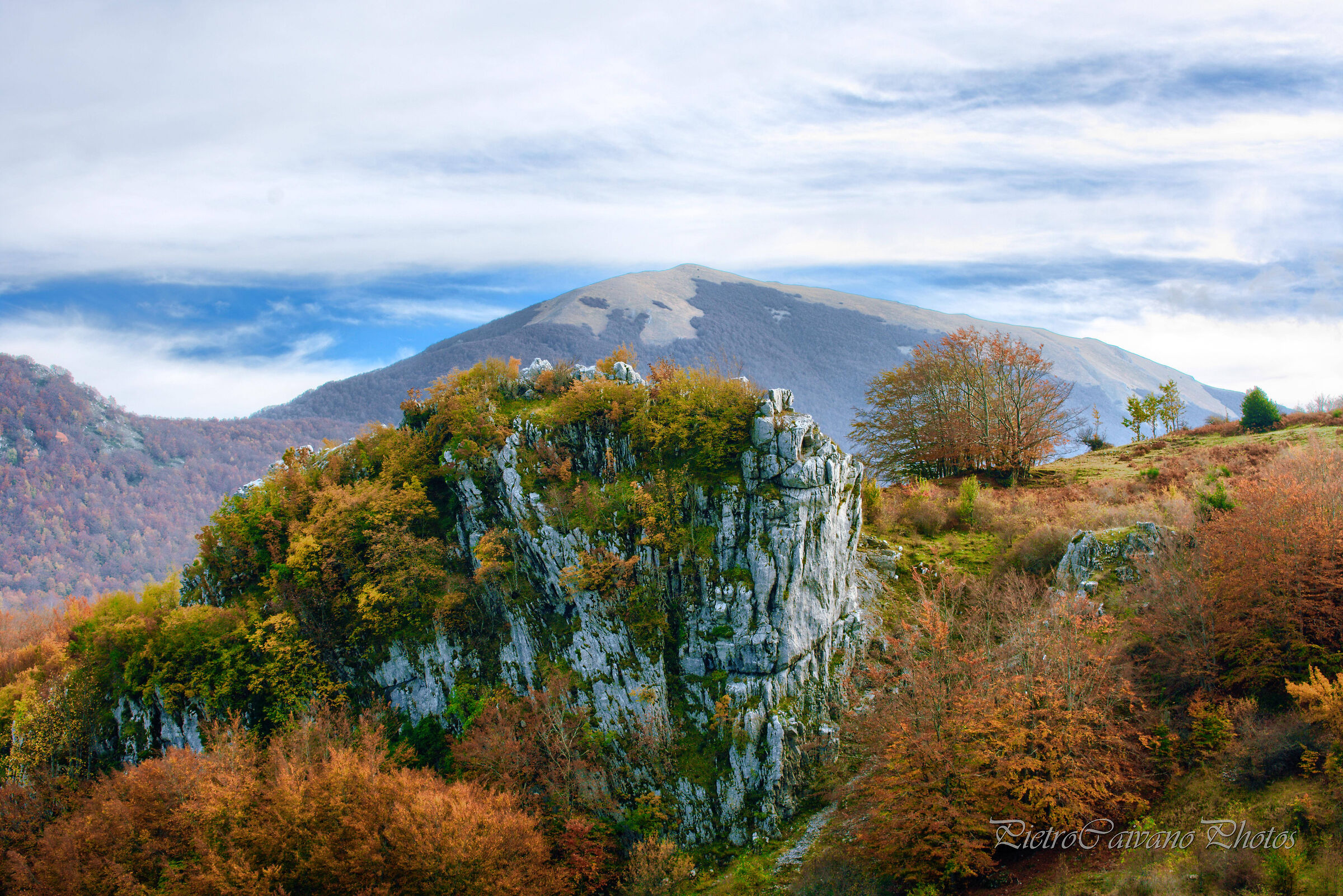 Foliage on the Pollino
