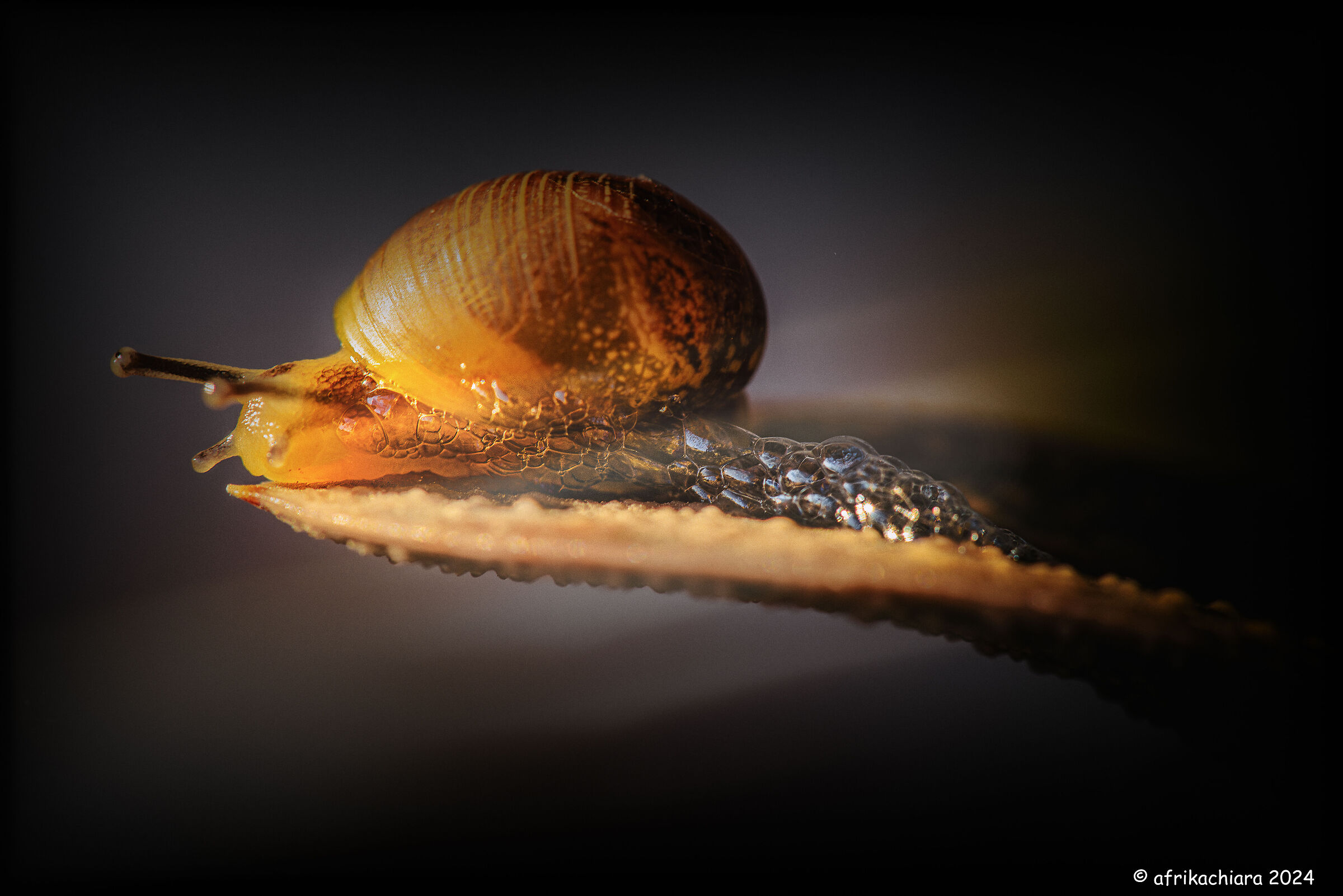 Afraid of the dark?!