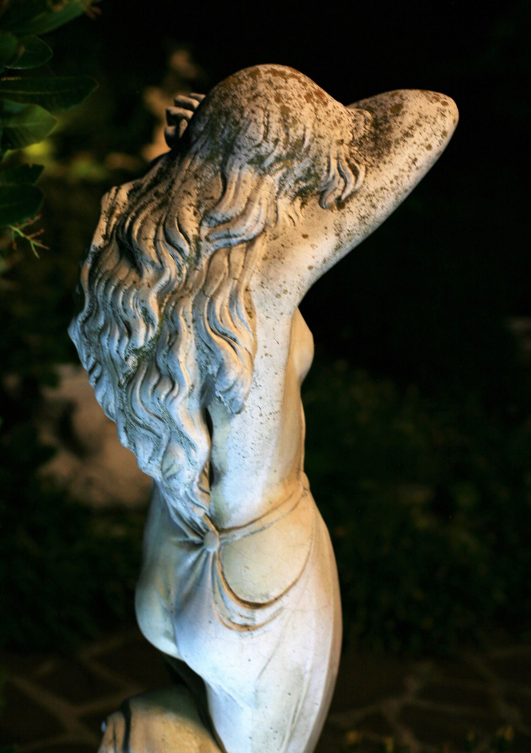 It's time to go back home.