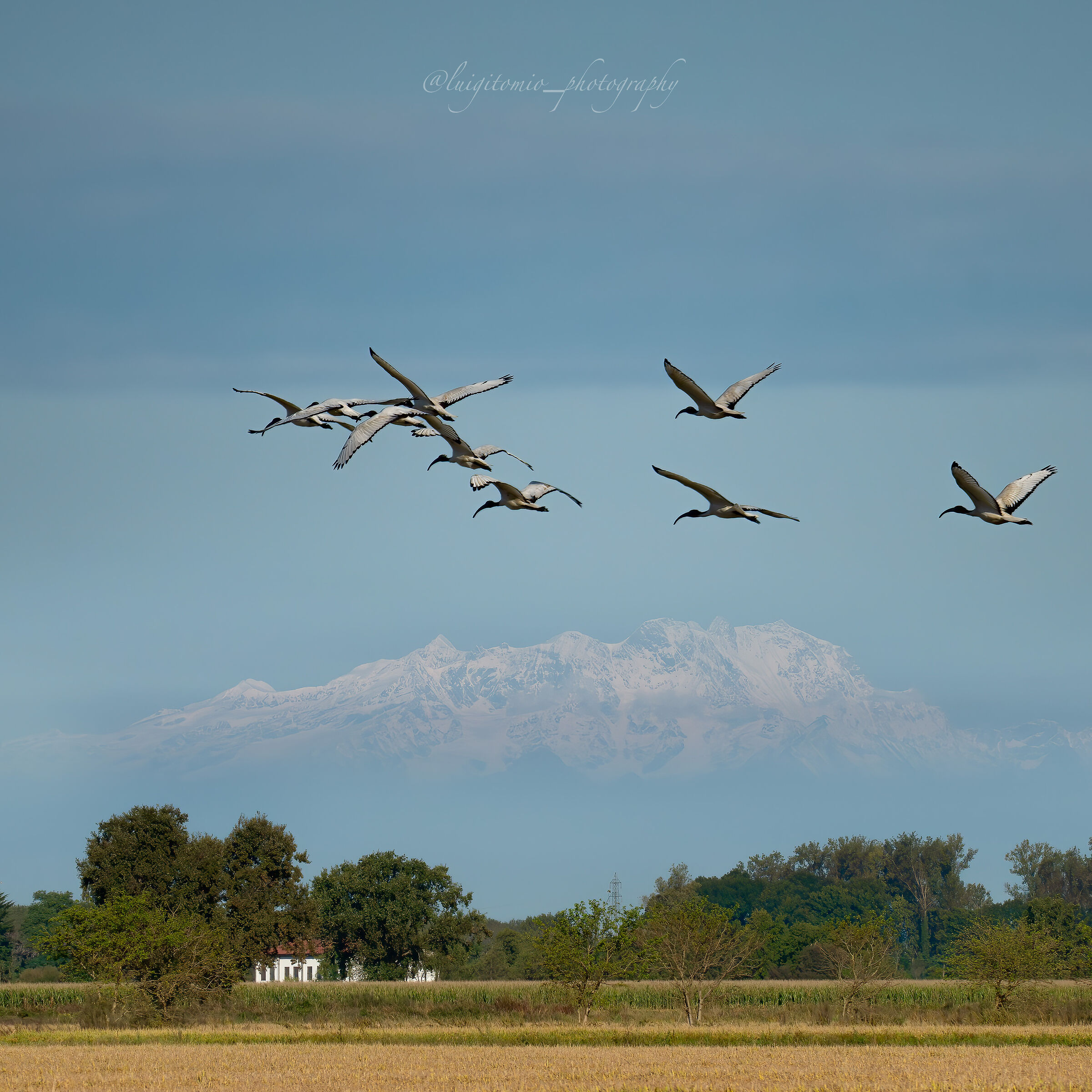 …e poi come d'incanto!