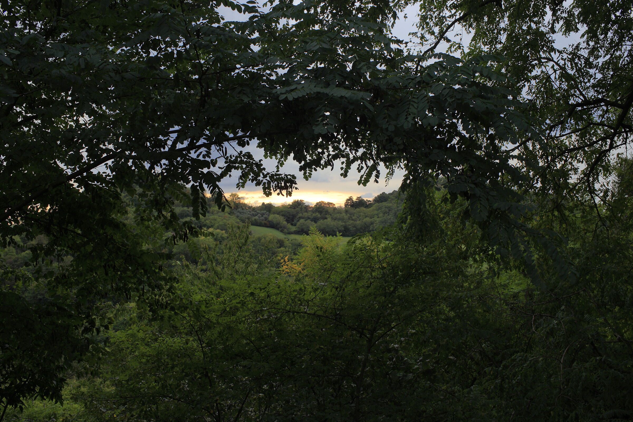 Euganei meravigliosi